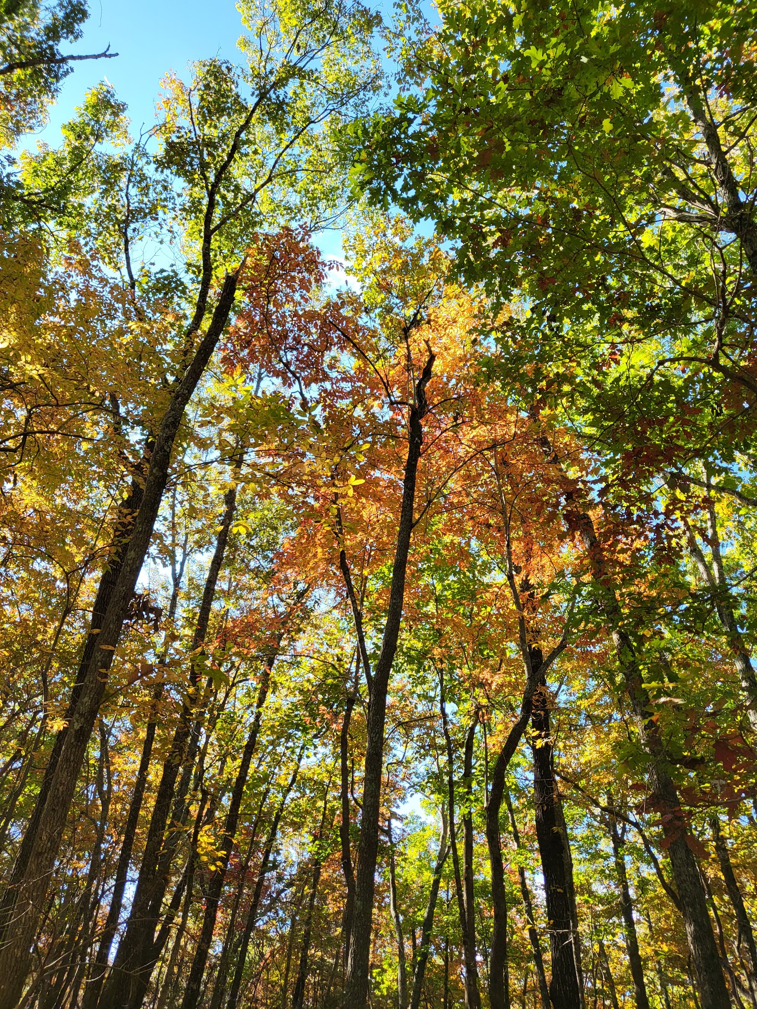 Chattahoochee Bend State Park