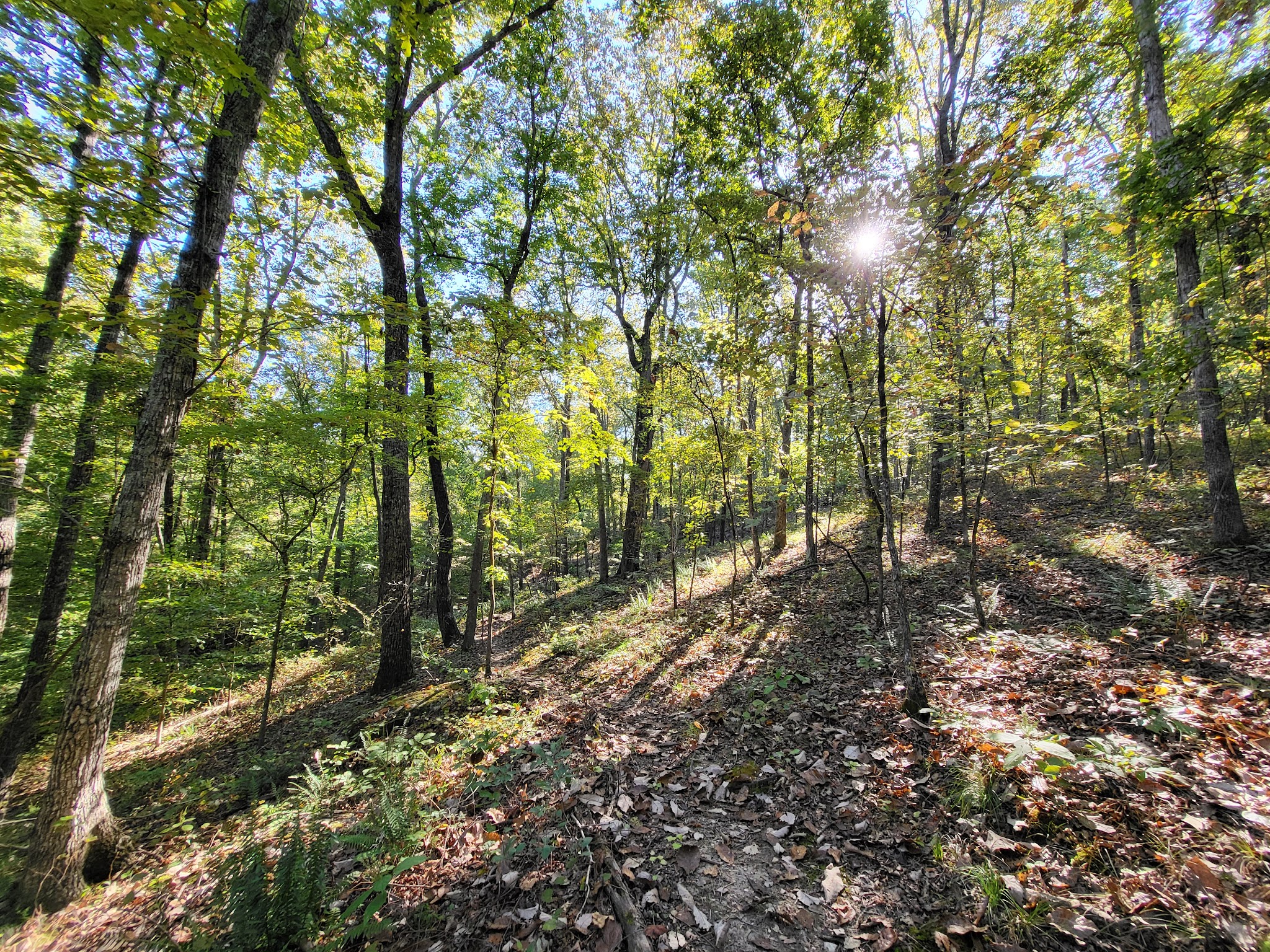 Chattahoochee Bend State Park