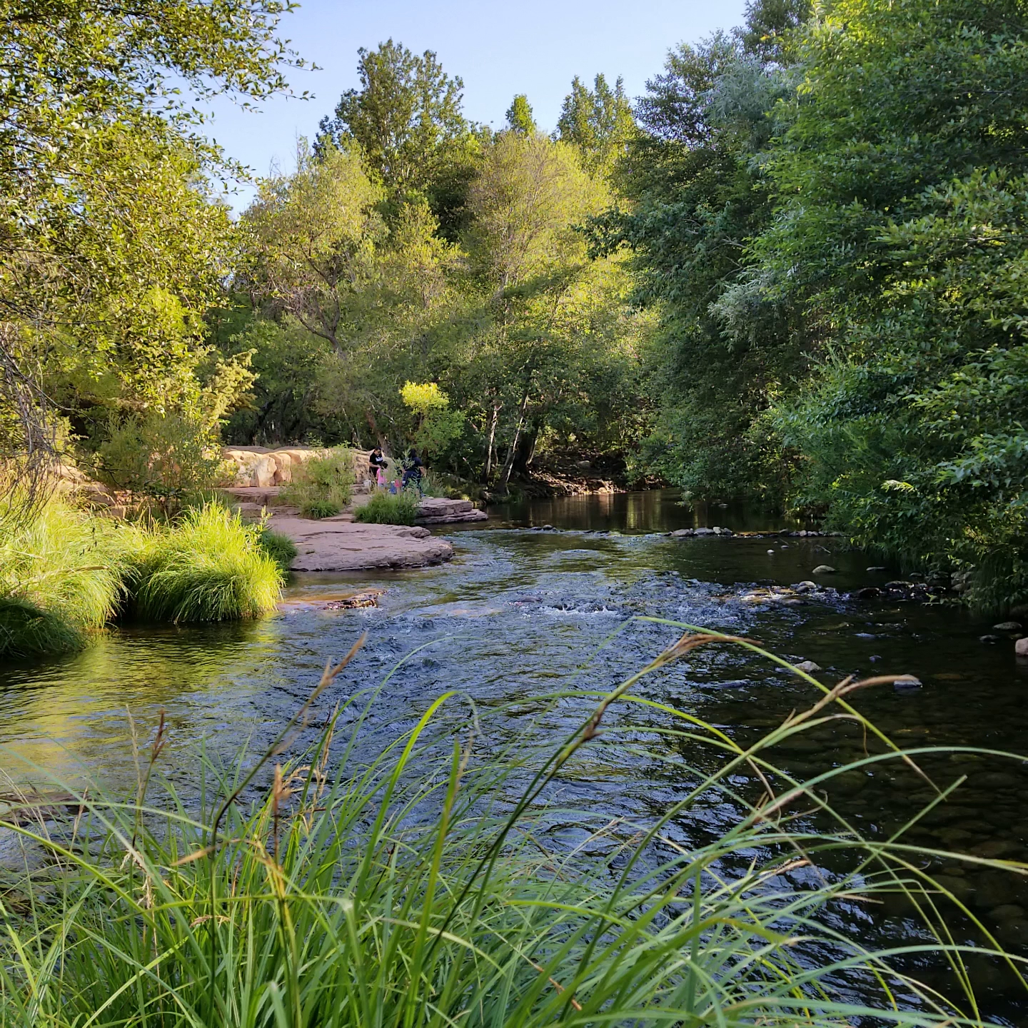 Swimming Campgrounds in Arizona