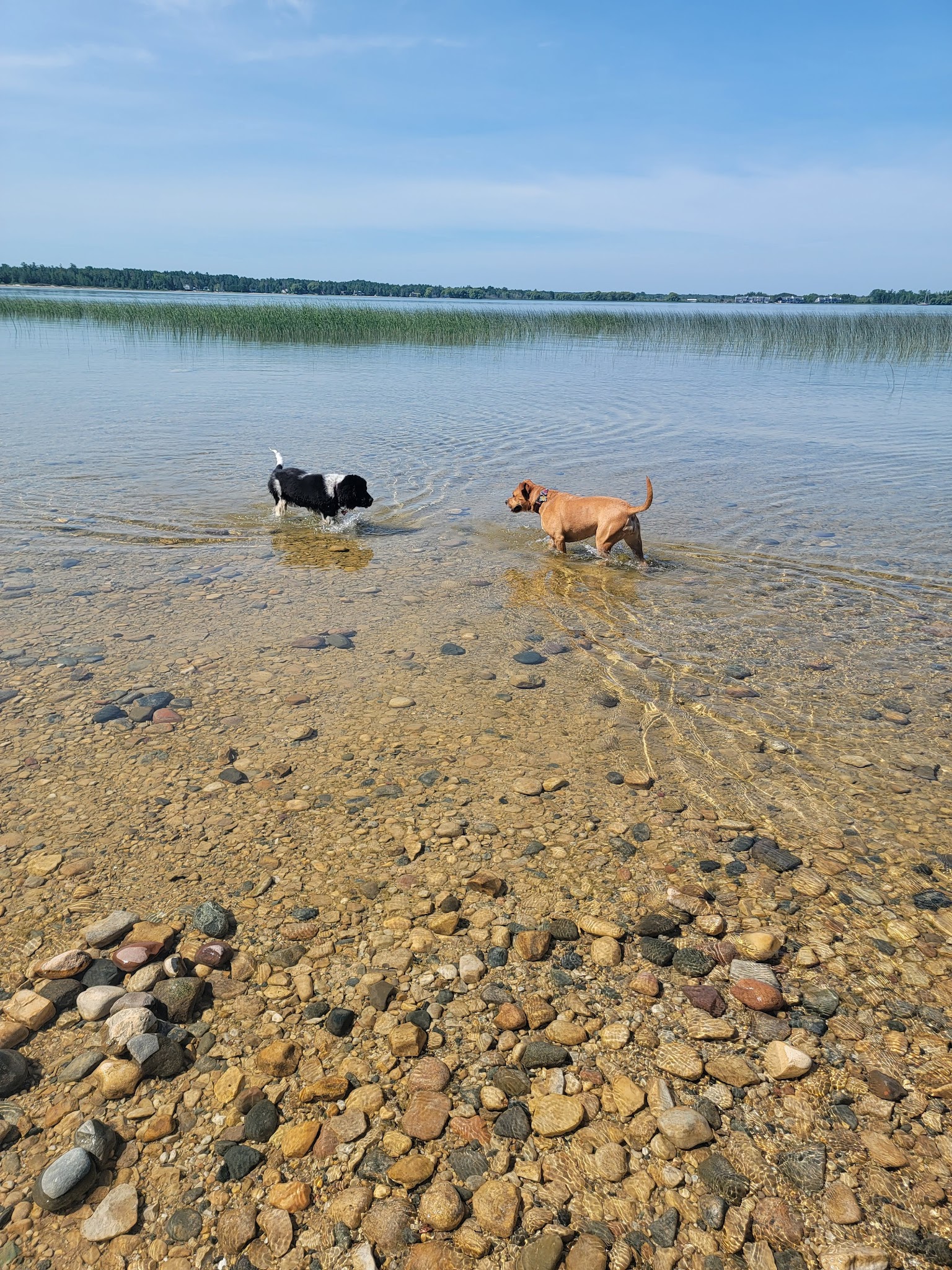 Cheboygan Group Camp