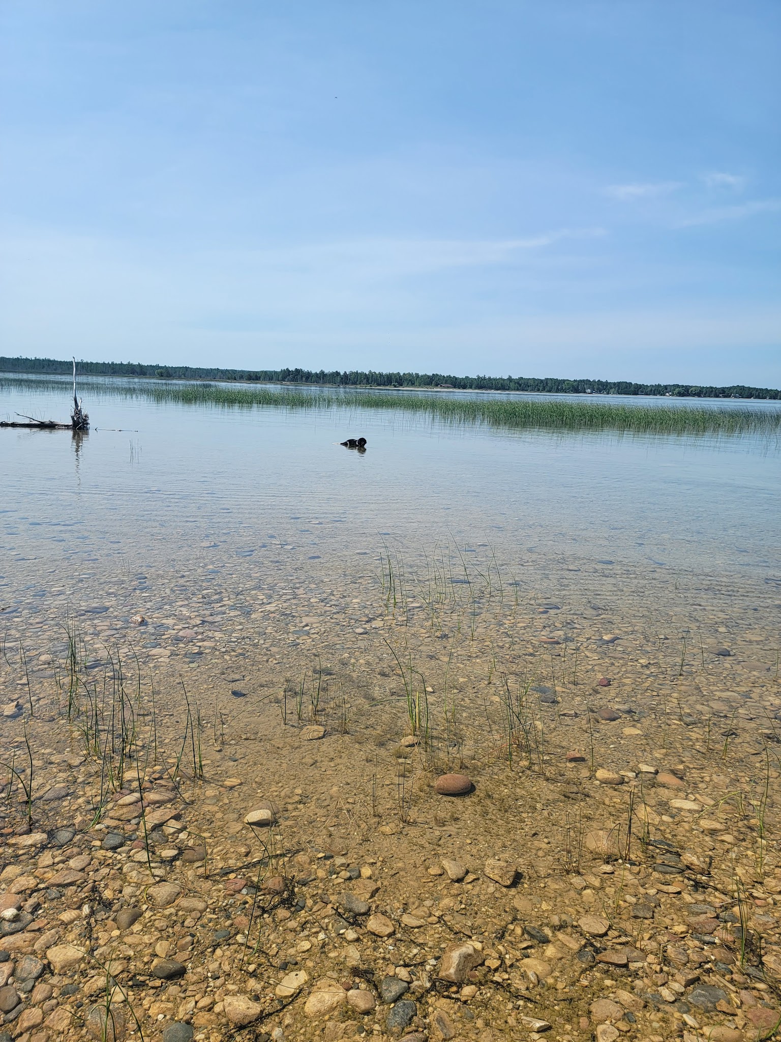 Cheboygan Group Camp