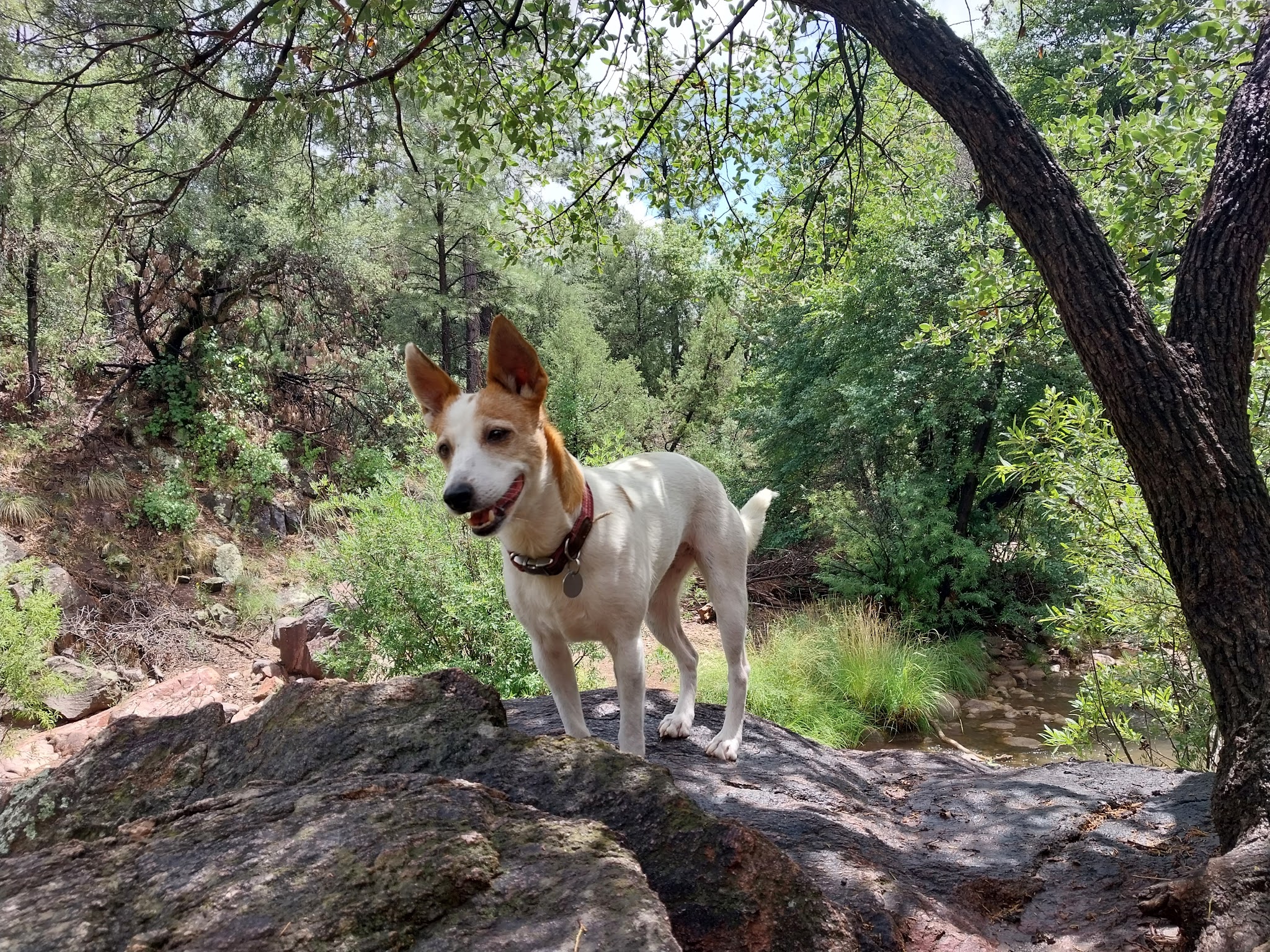 Haigler Canyon Campground And Day Use