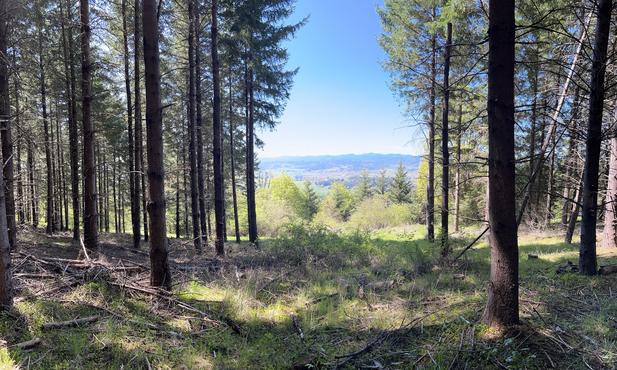 Chehalem Ridge Nature Park Sup Campground