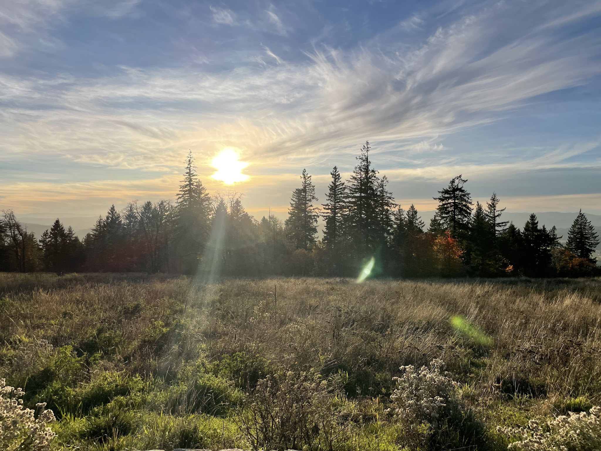 Chehalem Ridge Nature Park Sup Campground