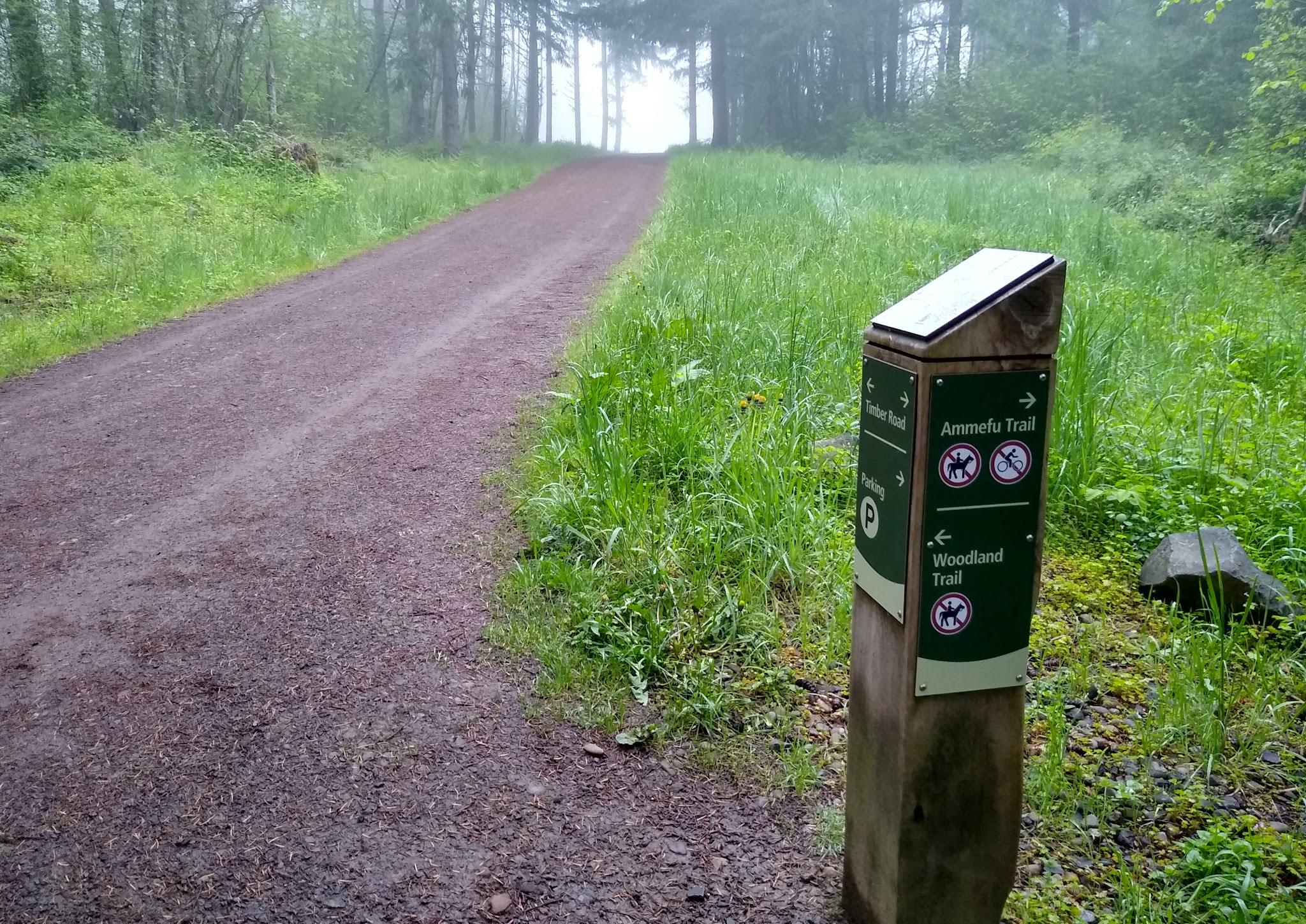 Chehalem Ridge Nature Park Sup Campground