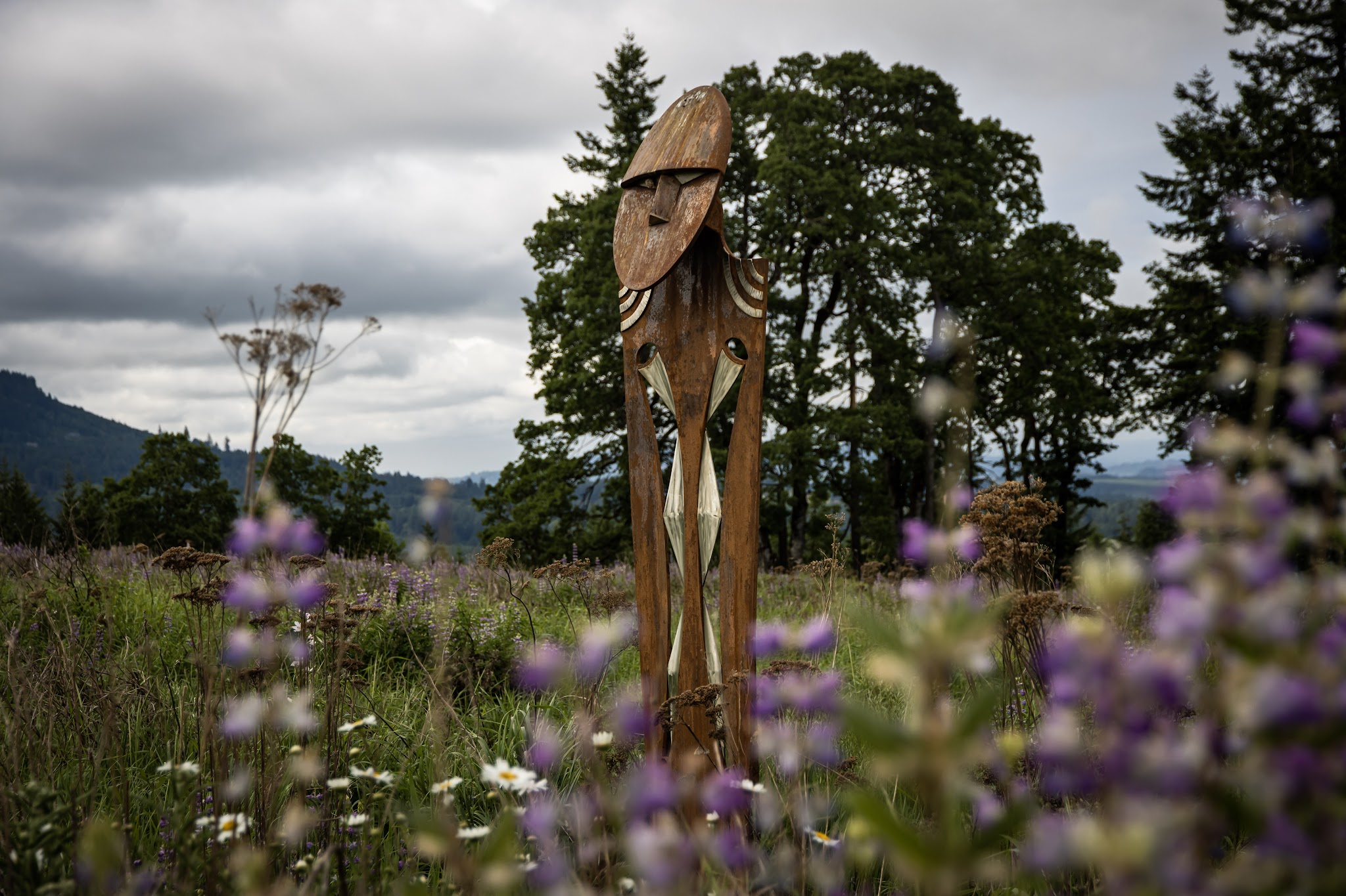 Chehalem Ridge Nature Park Sup Campground