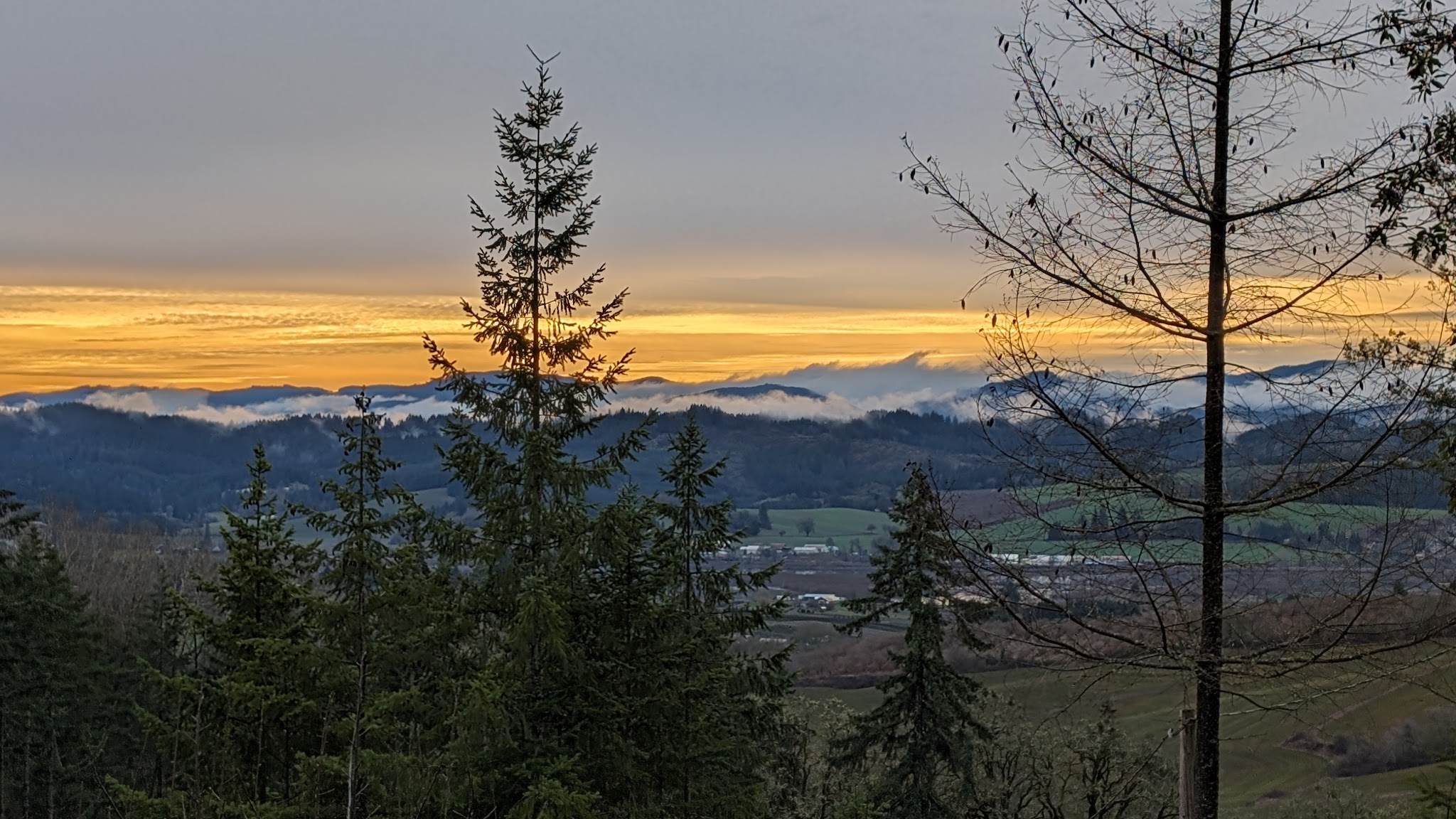 Chehalem Ridge Nature Park Sup Campground