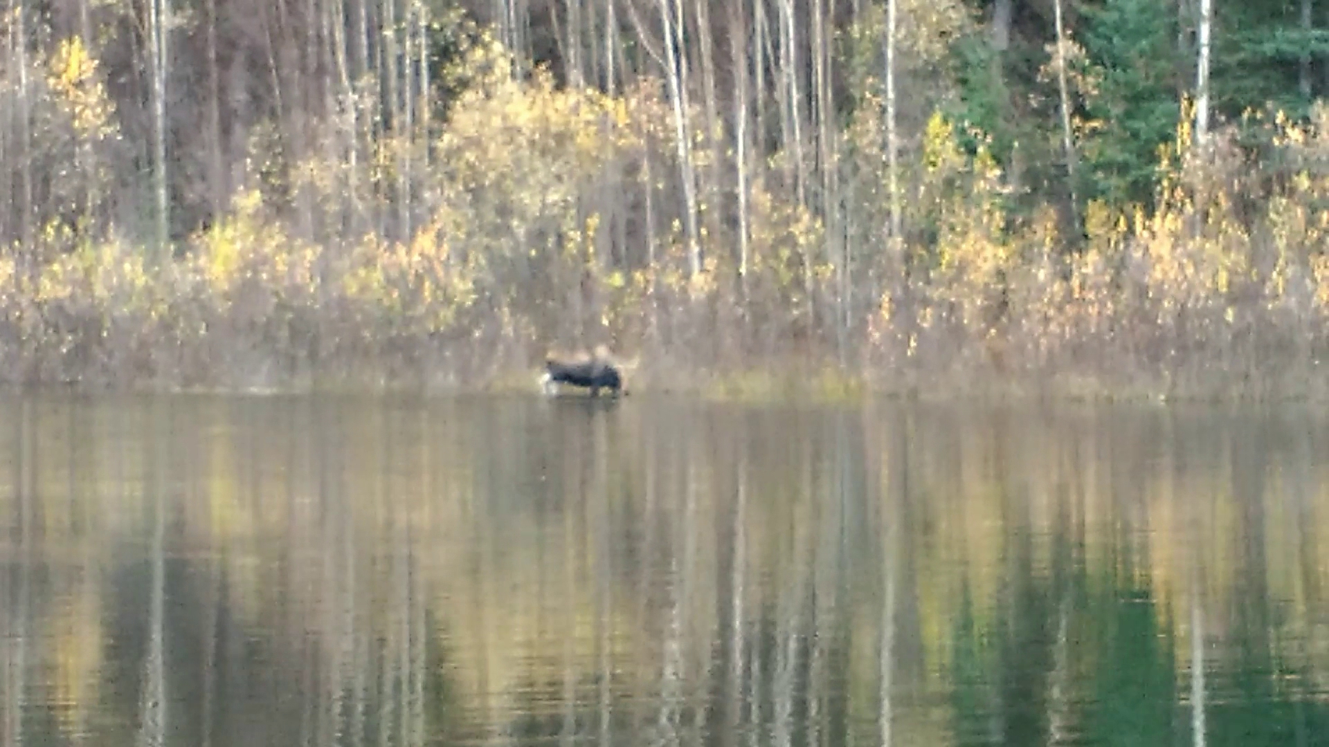 Chena River State Recreation Area
