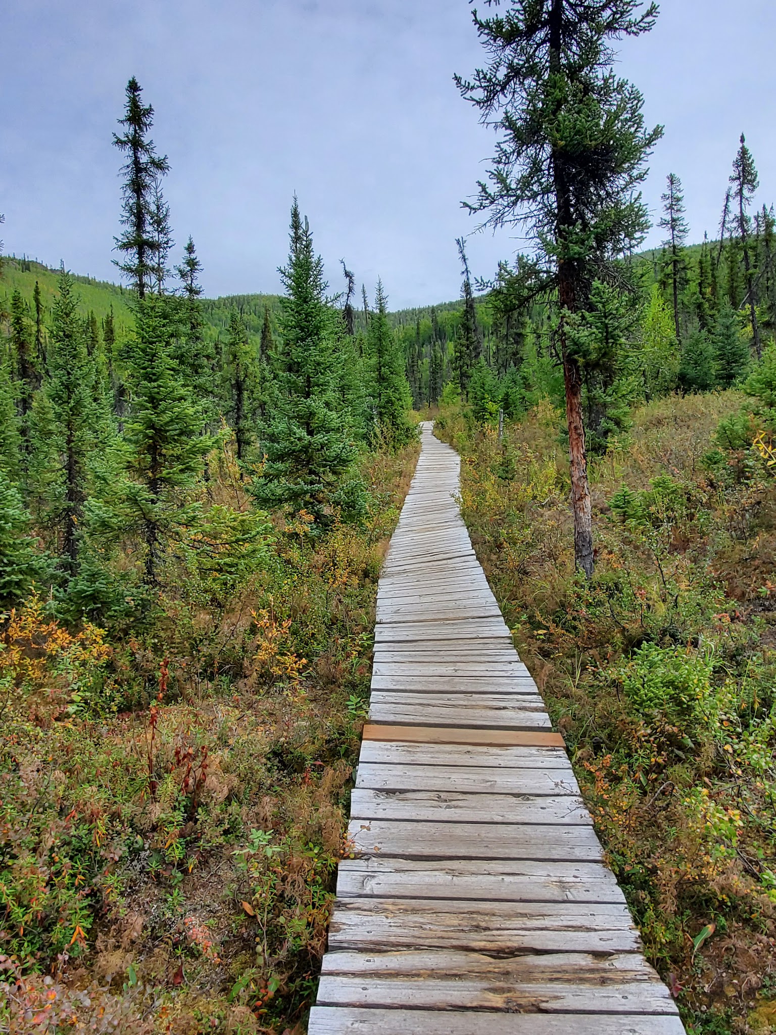 Chena River State Recreation Area