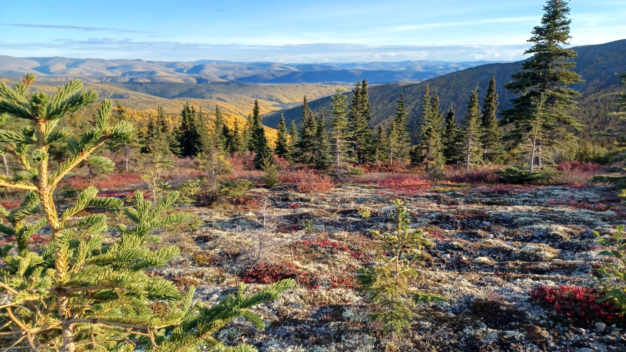Chena River State Recreation Area