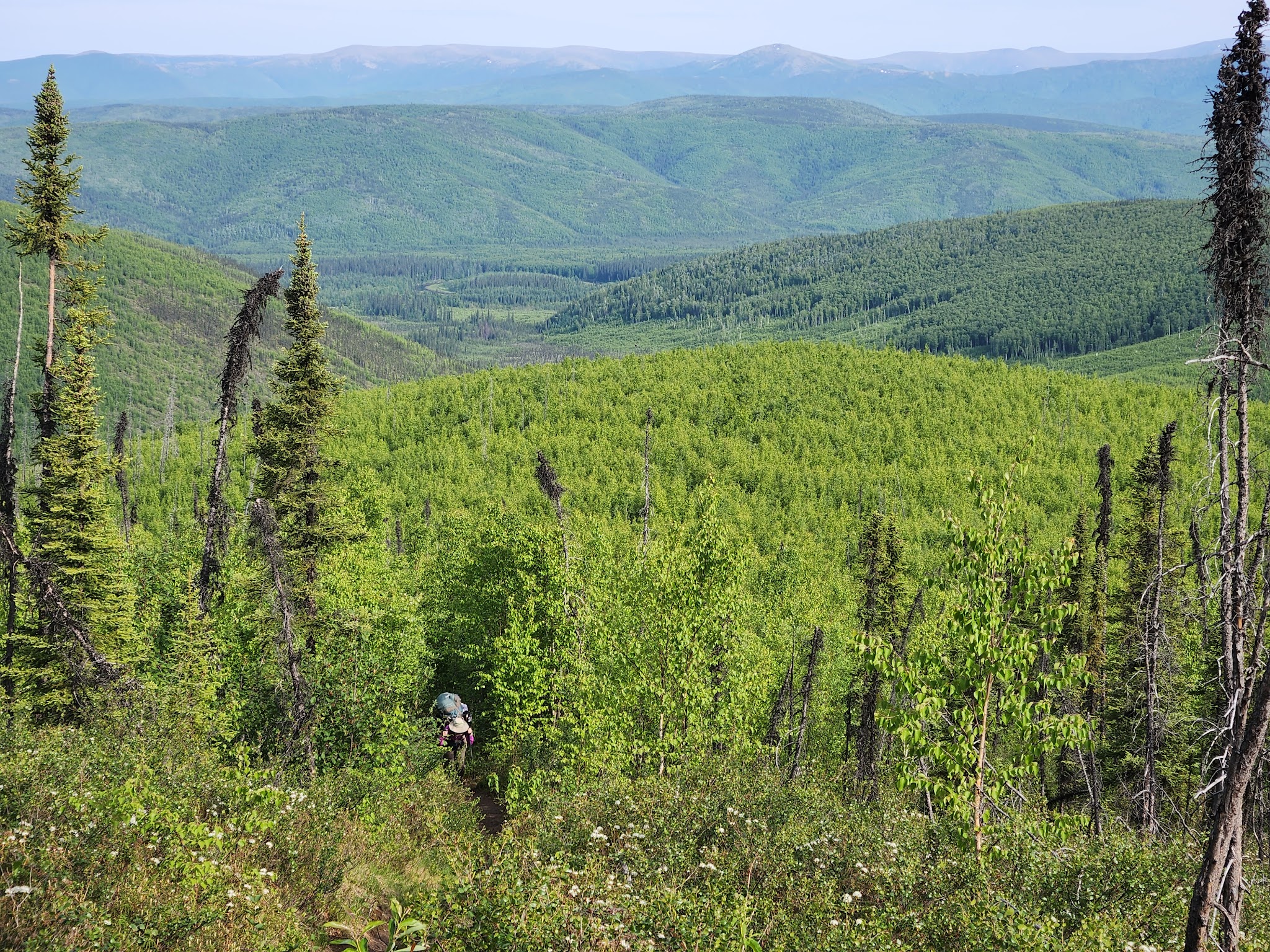 Chena River State Recreation Area