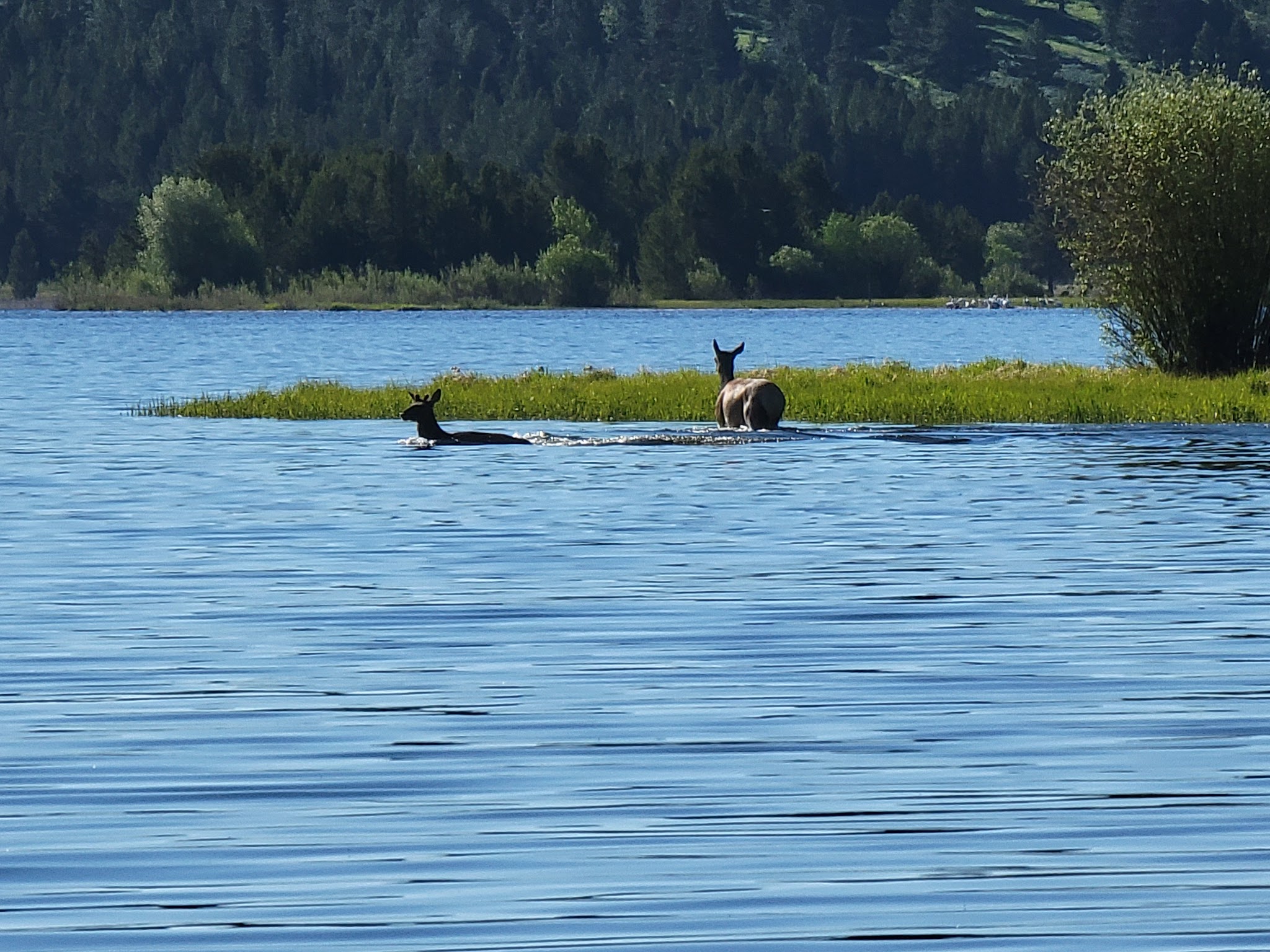 Cherry Creek Campground