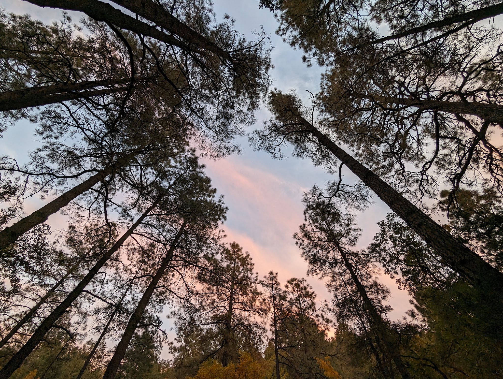 Cherry Creek Campground