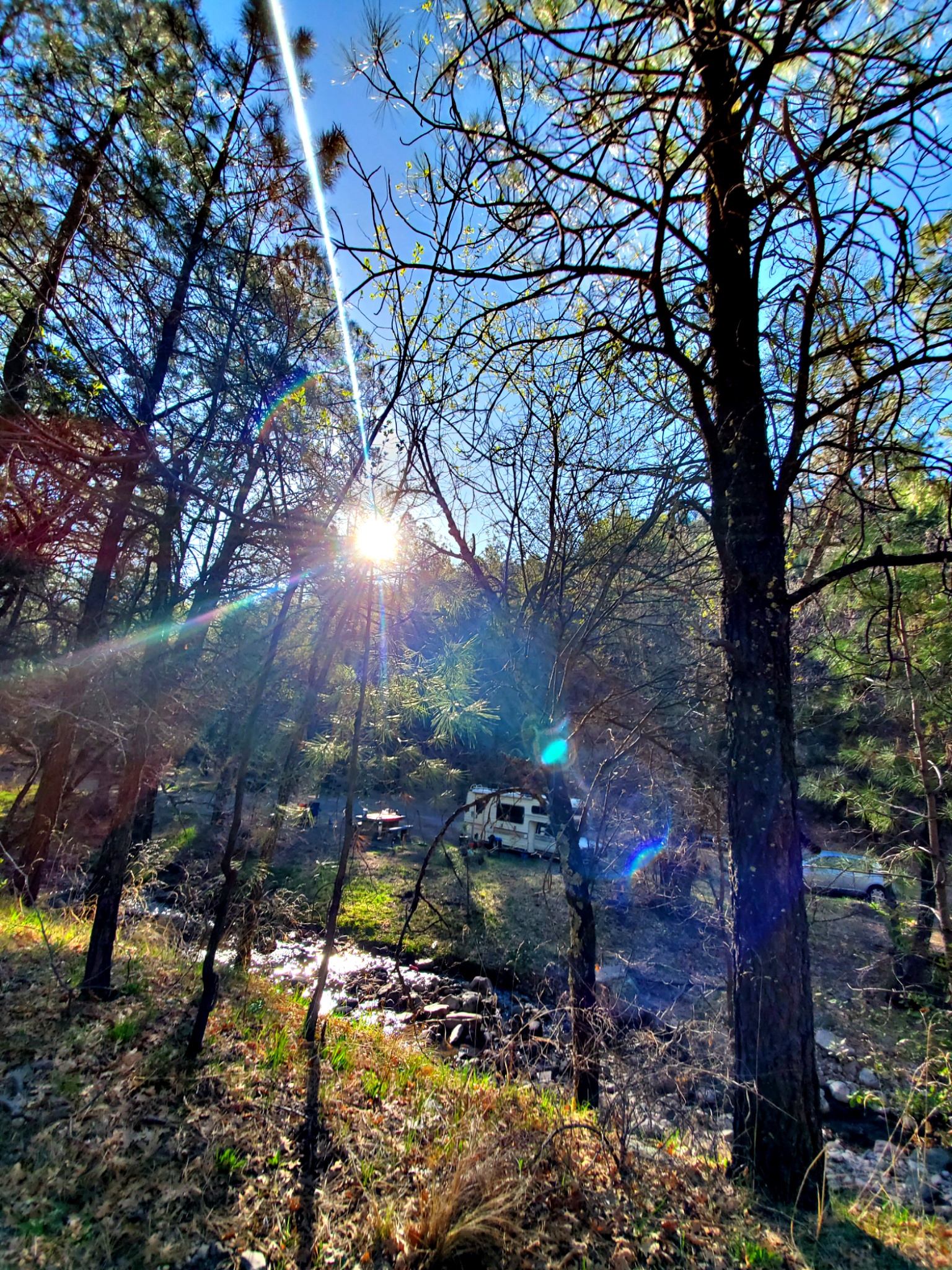 Cherry Creek Campground