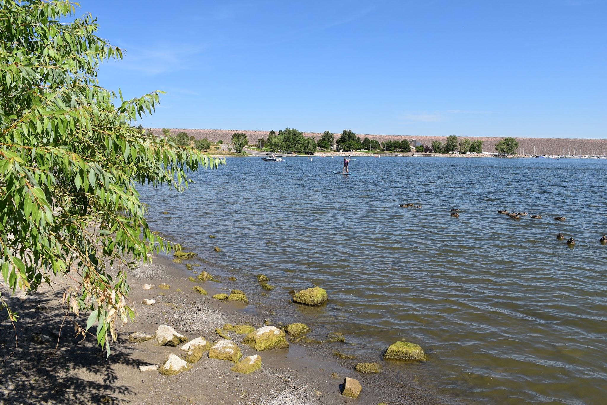 Cherry Creek State Park