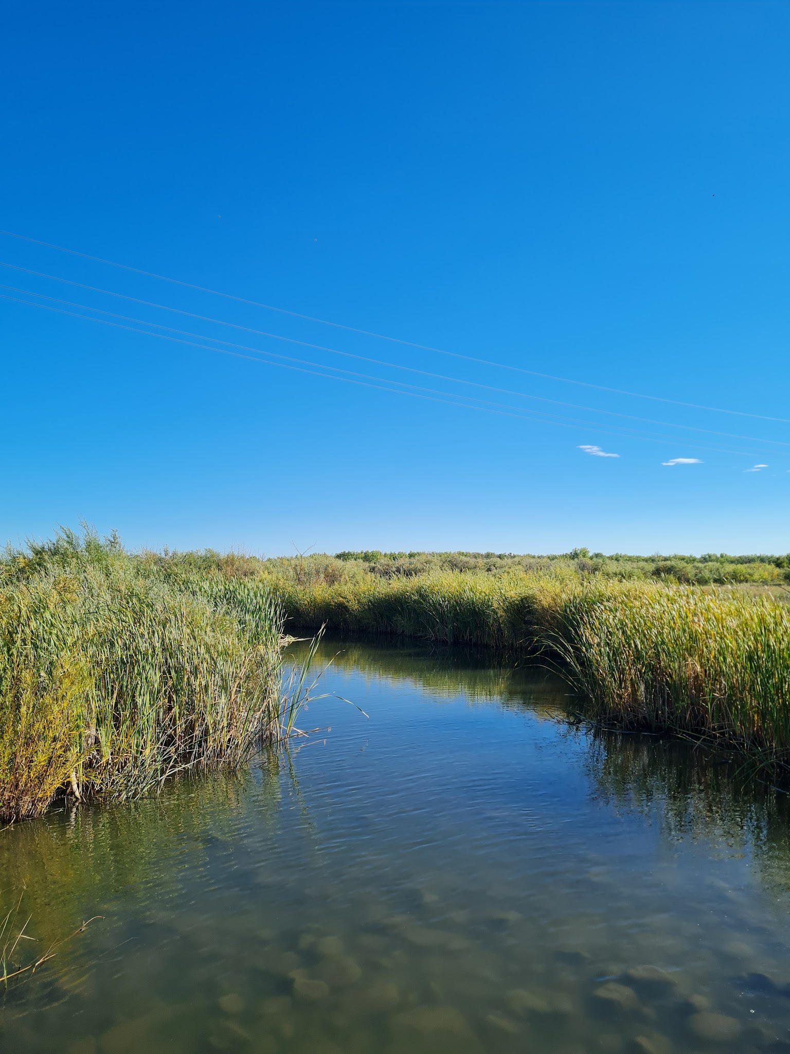 Cherry Creek State Park