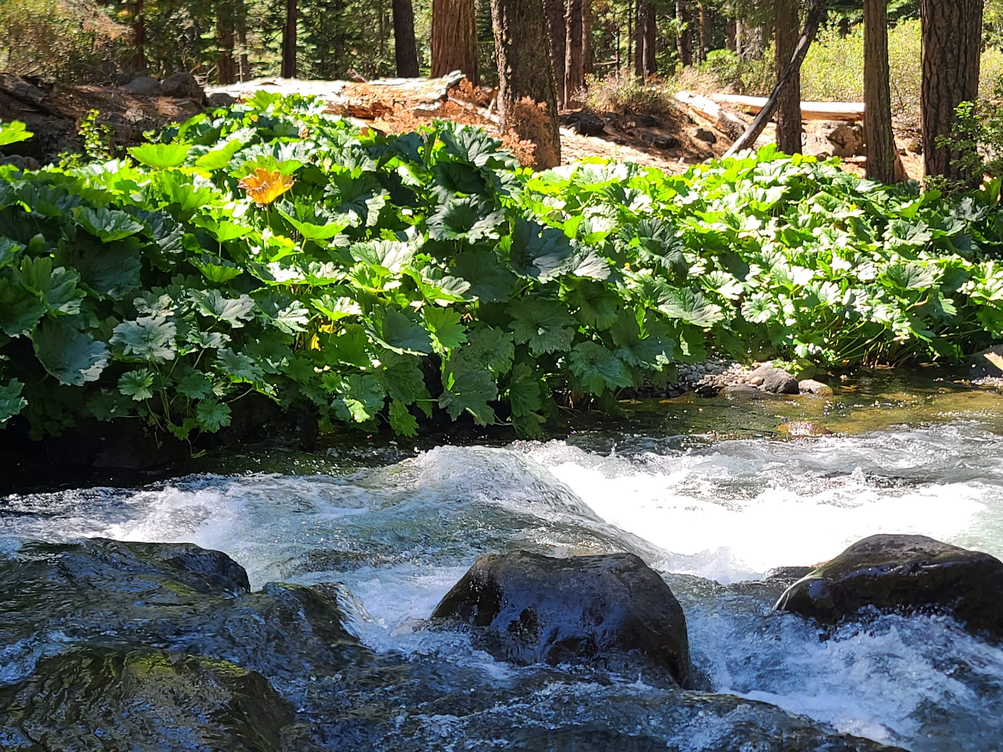 Cherry Hill Campground