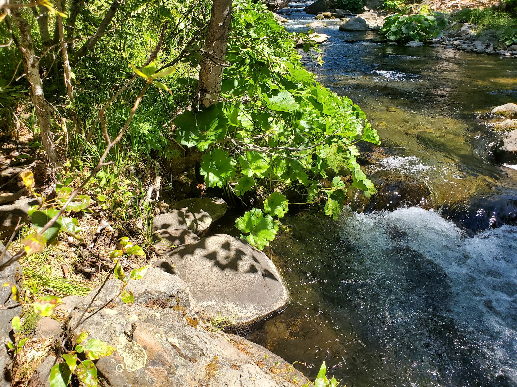 Cherry Hill Campground