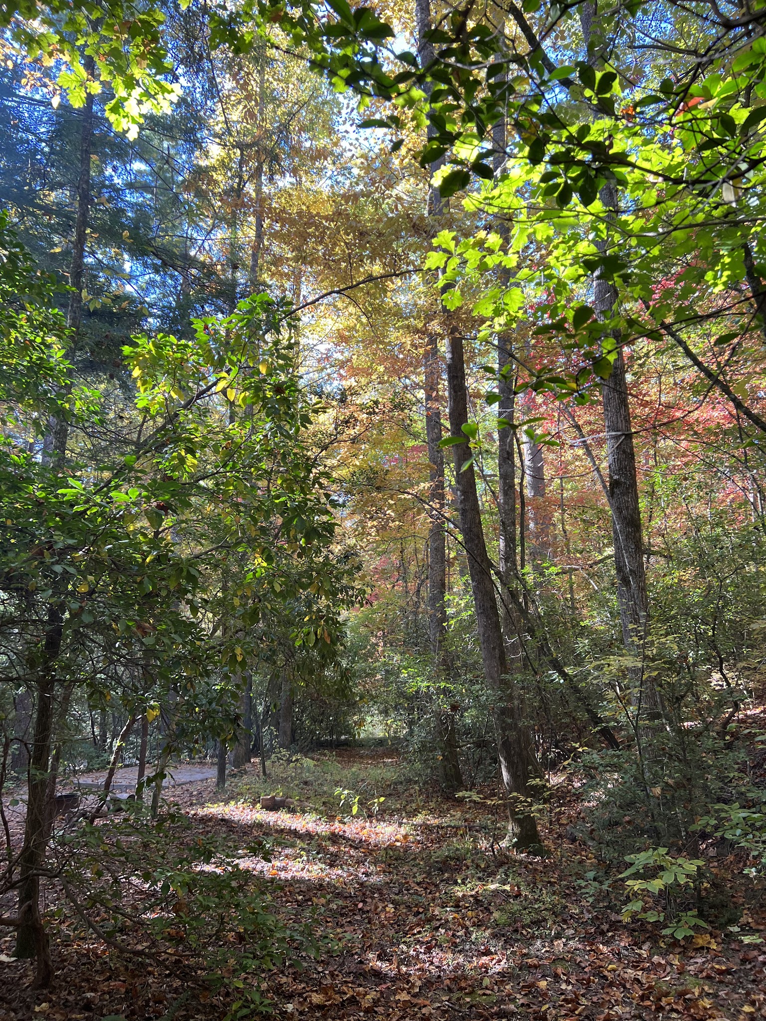 Cherry Hill Campground