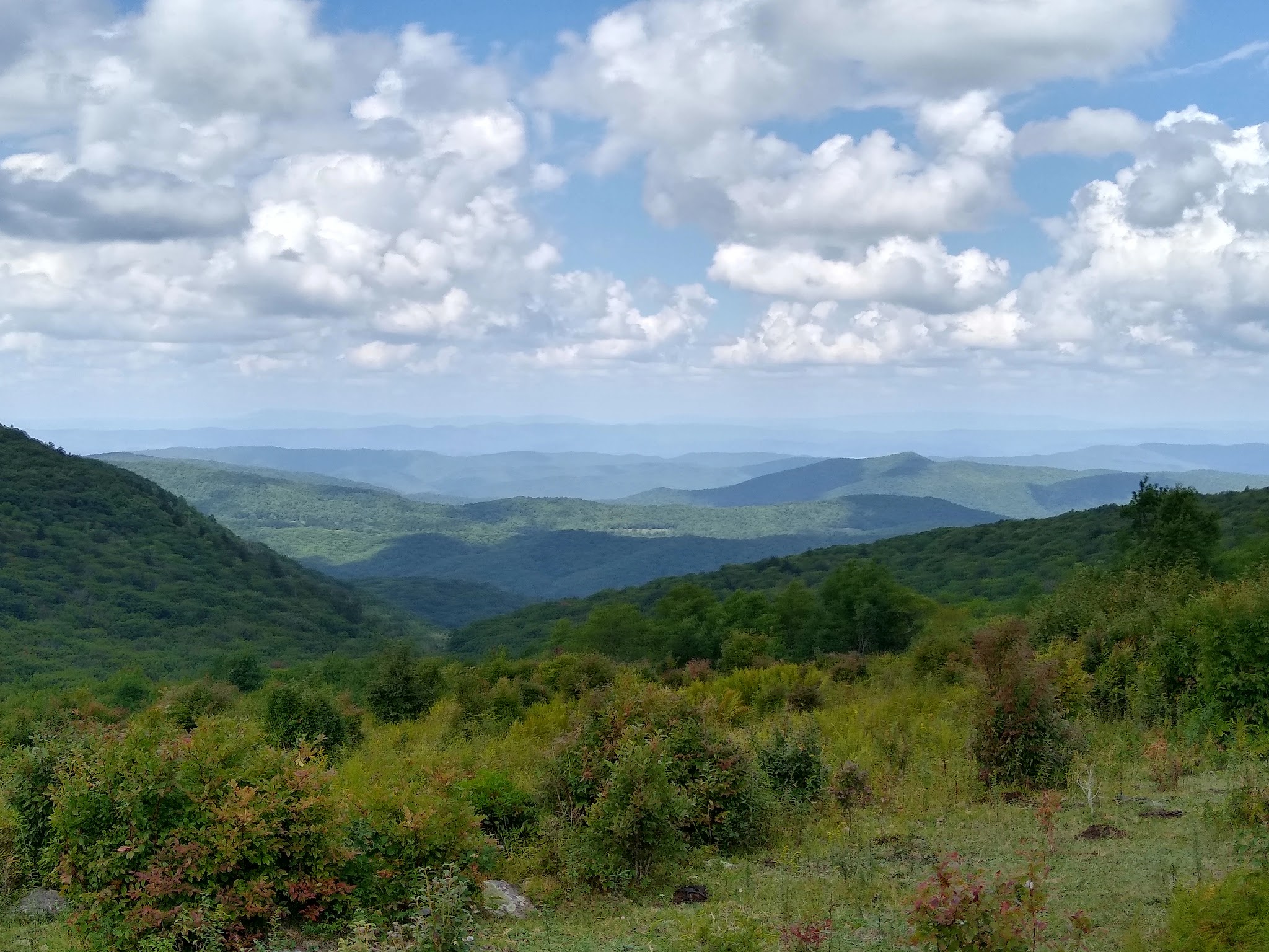 Chestnut Hollow Horse Campground