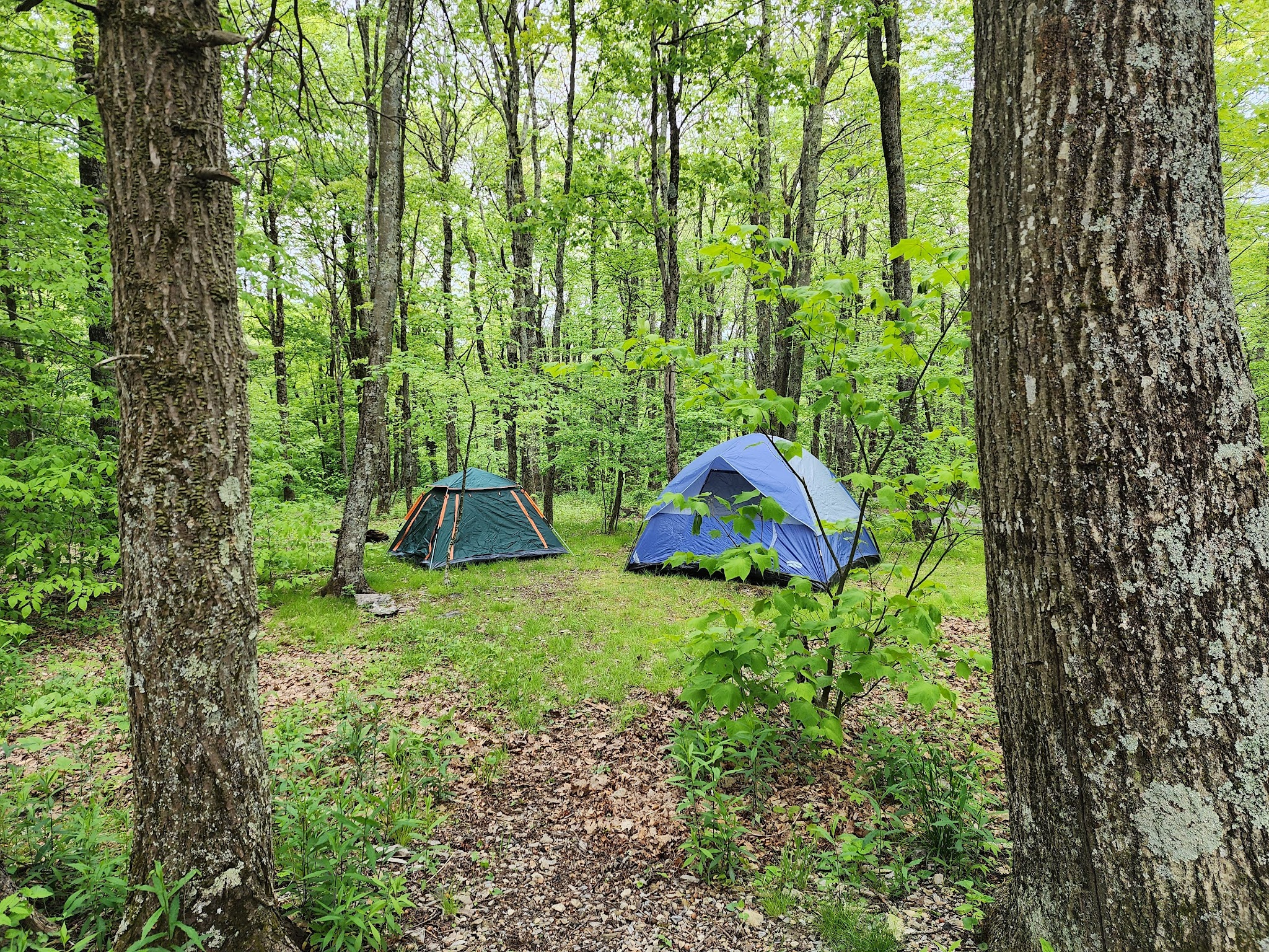 Chestnut Hollow Horse Campground