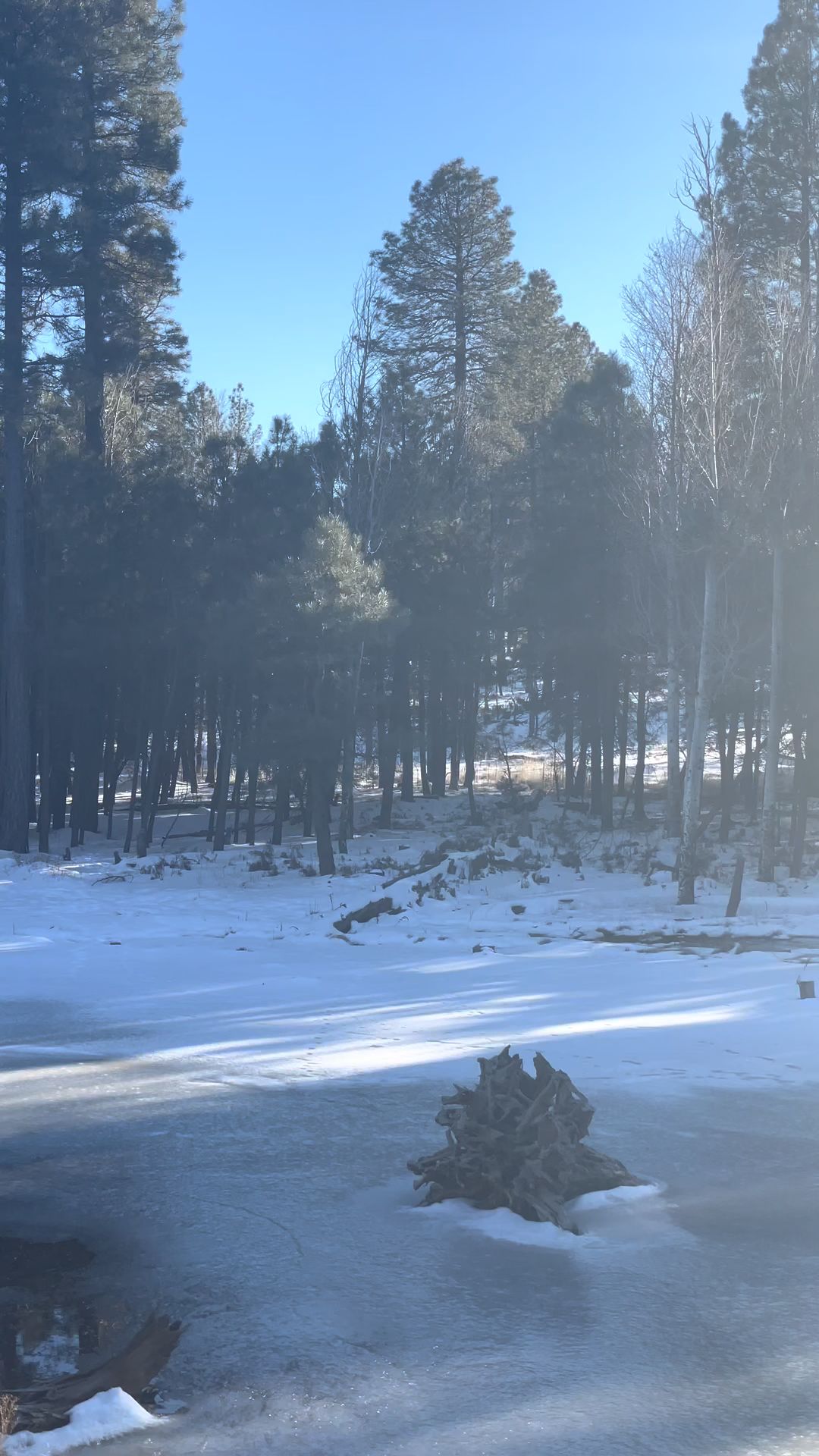 Chevelon Canyon Lake Campground