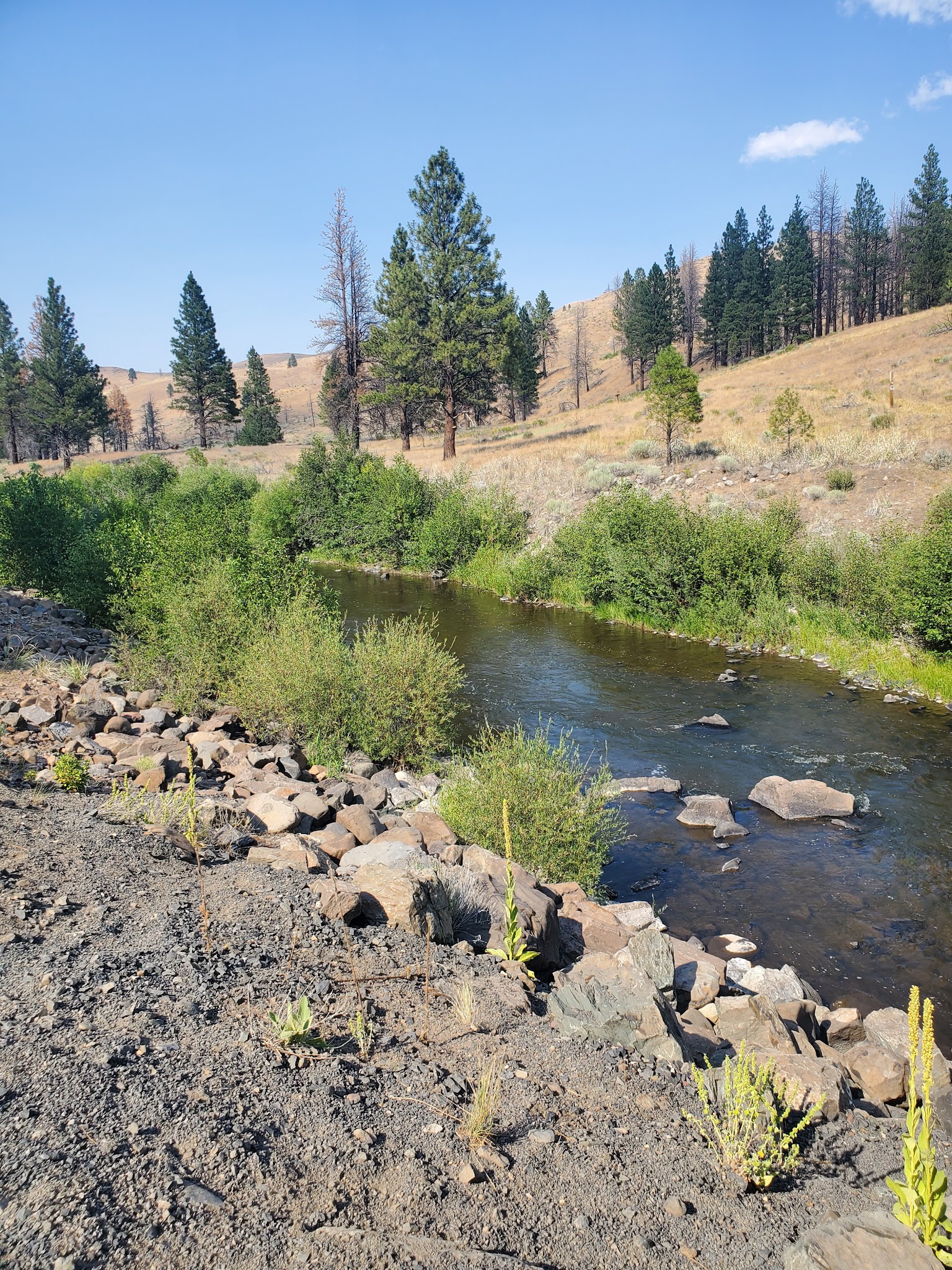 Chewaucan Crossing Campground/Trailhead