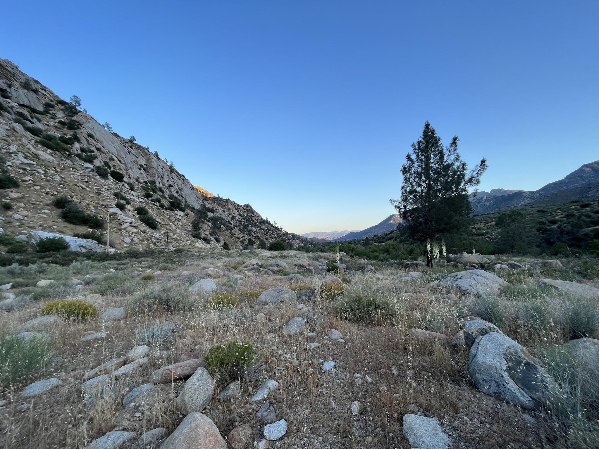 Chico Flat Dispersed Camping