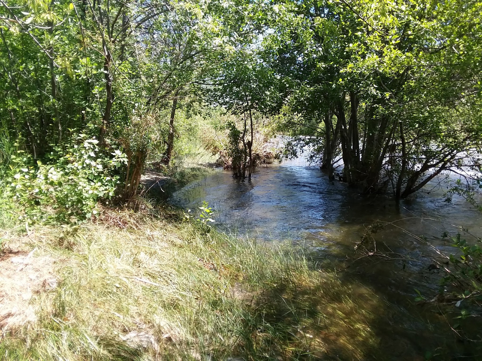 Chico Flat Dispersed Camping