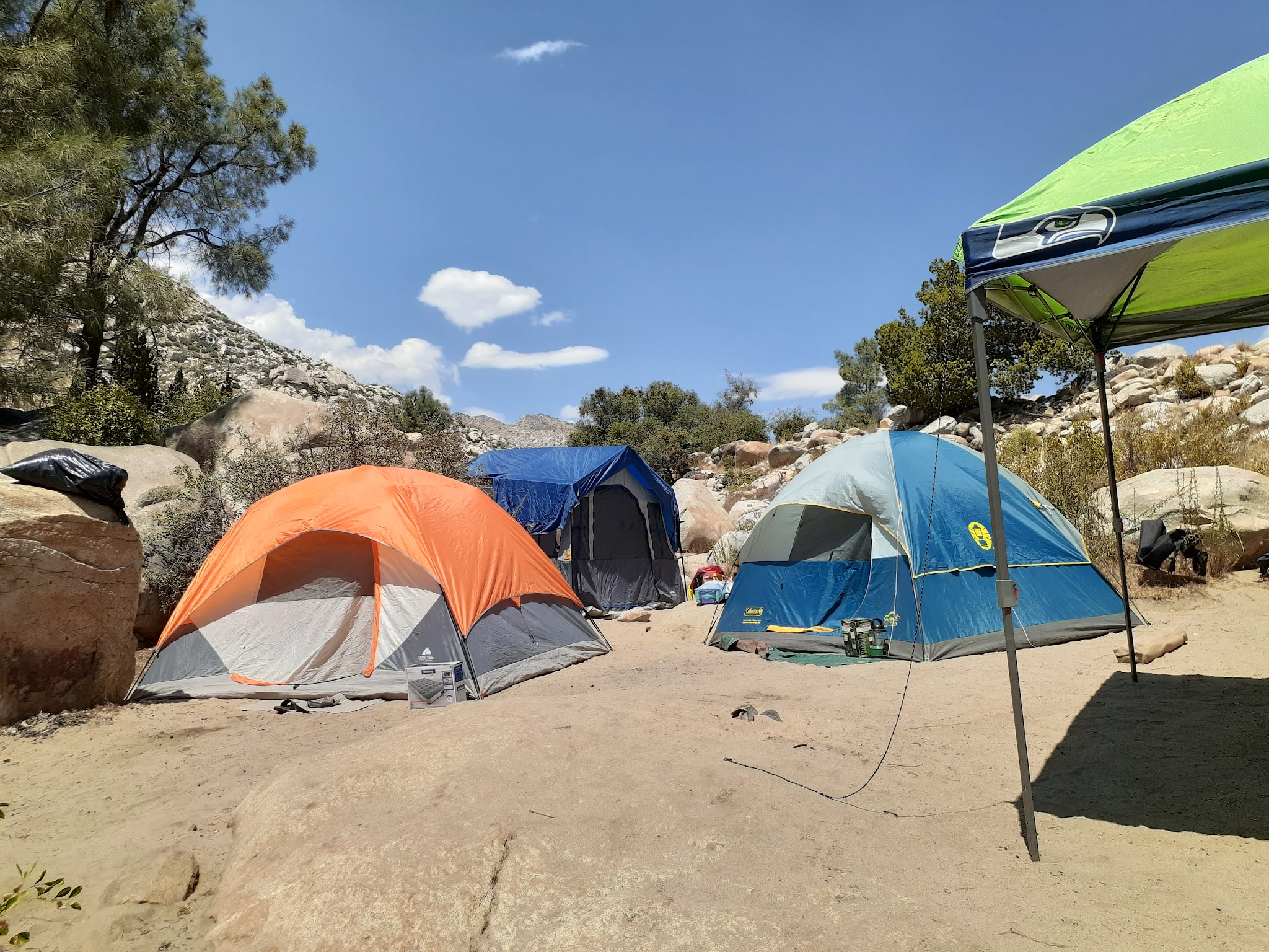 Chico Flat Dispersed Camping