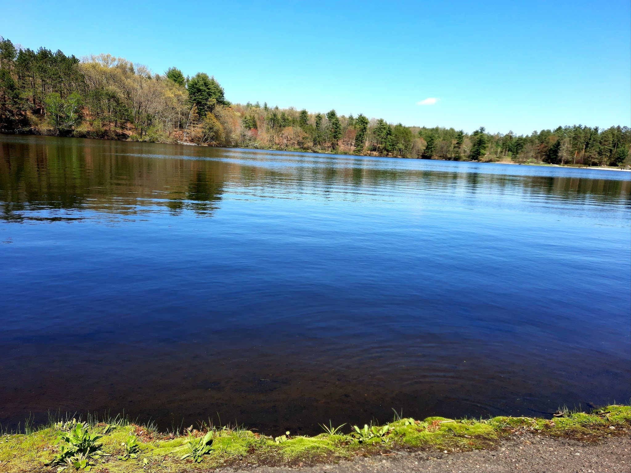 Chicopee State Park