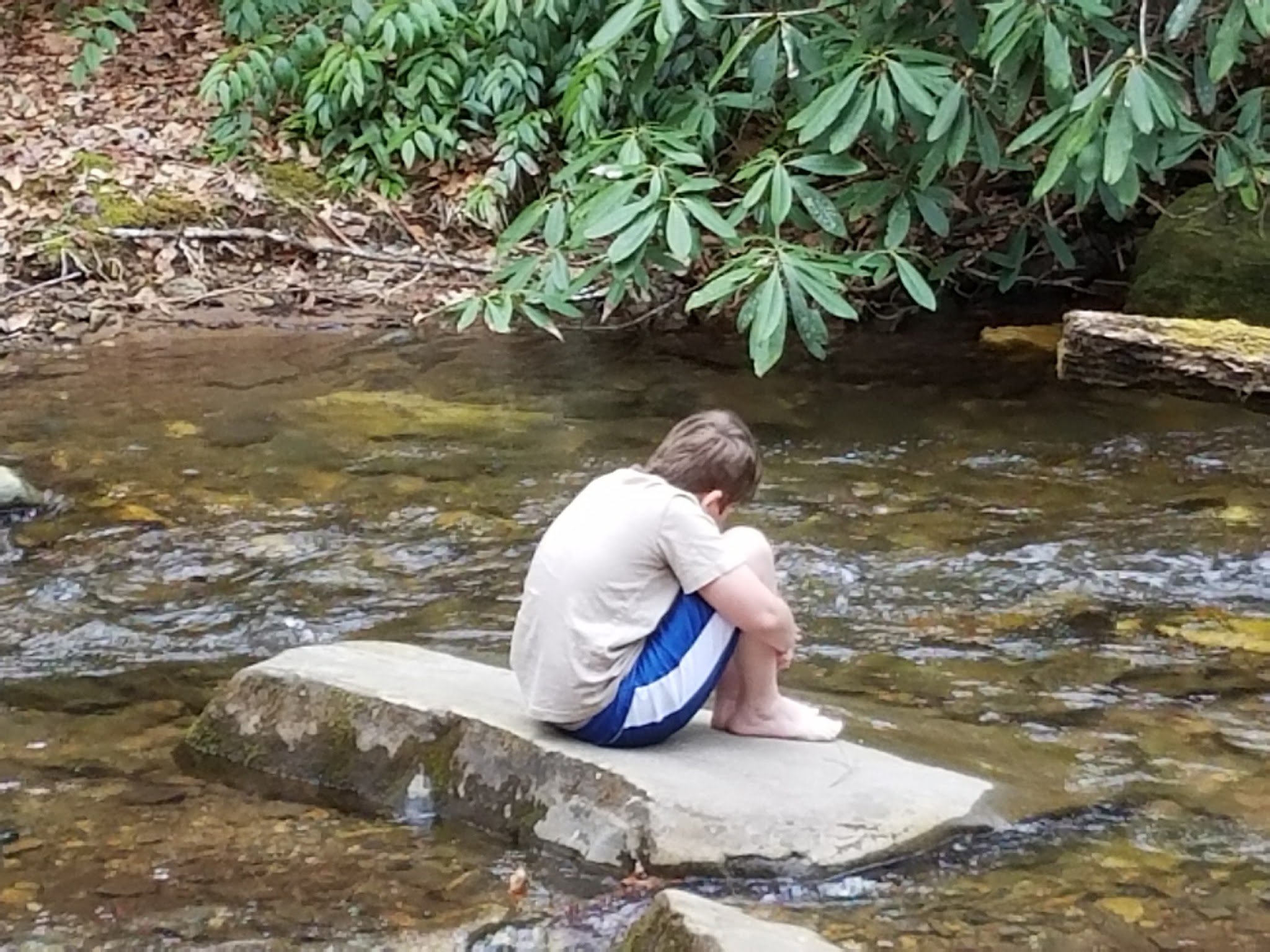 Upper Chattahoochee River Campground