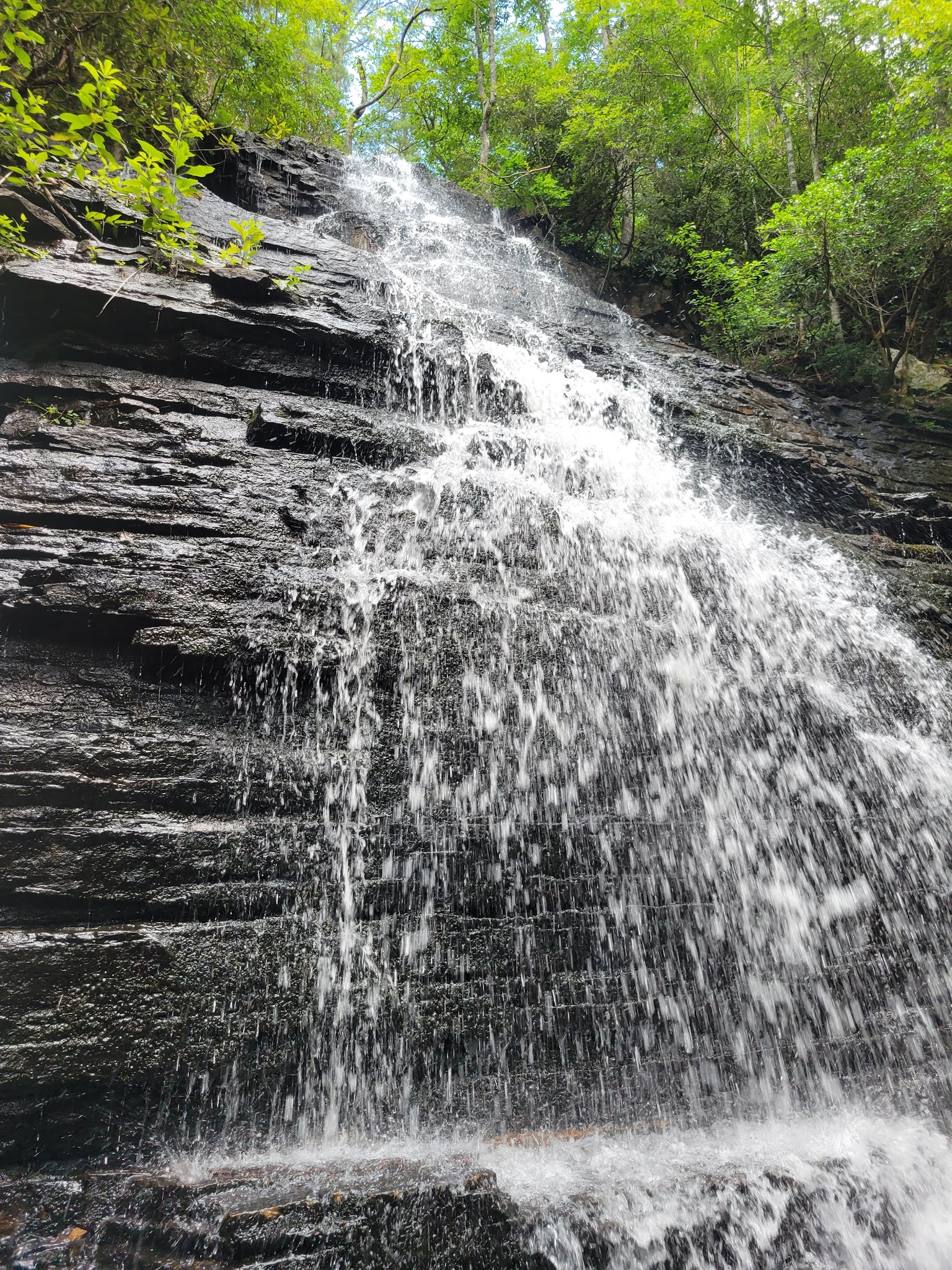 Chilhowee Group Camp
