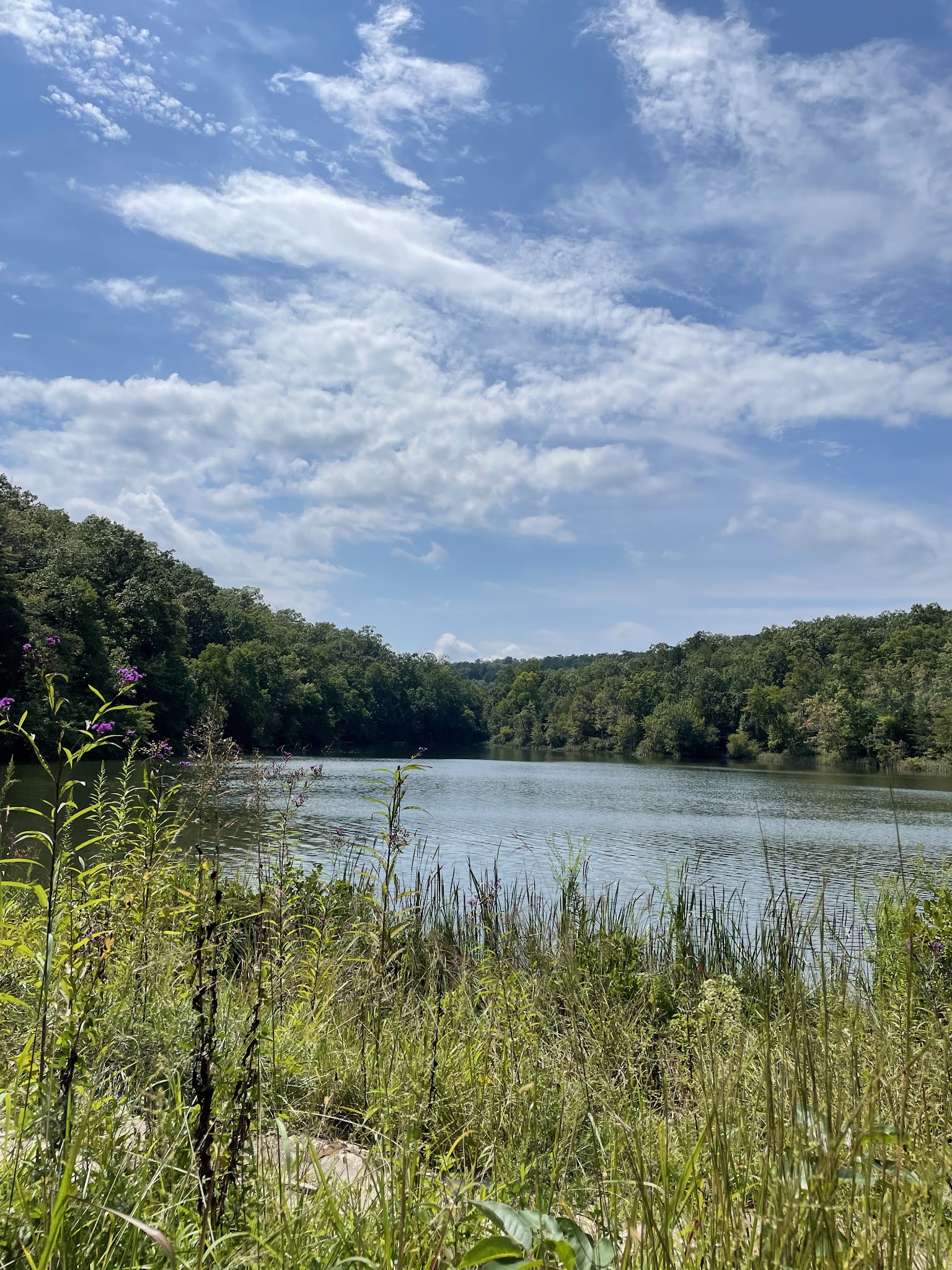 Chilhowee Campground