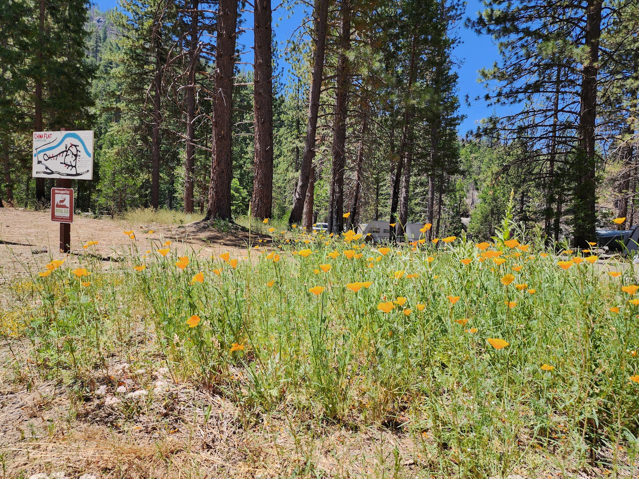 China Flat Campground