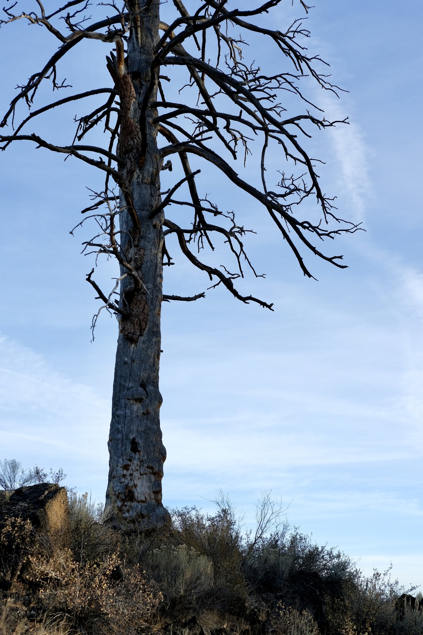 China Hat Campground