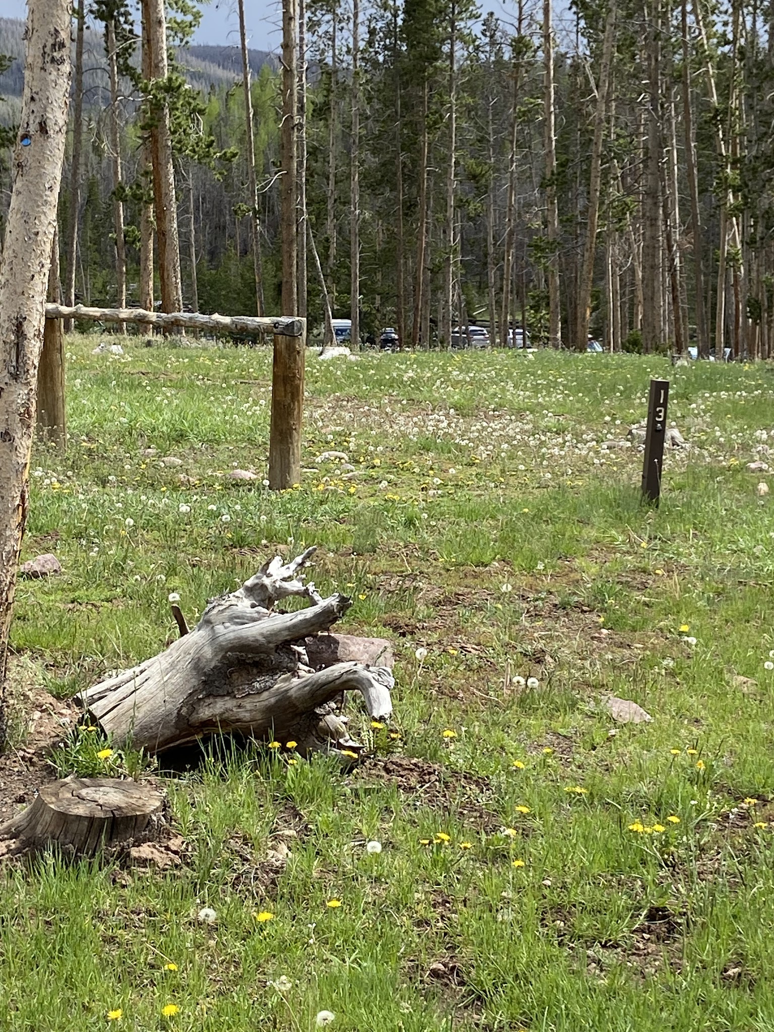 China Meadows Campground