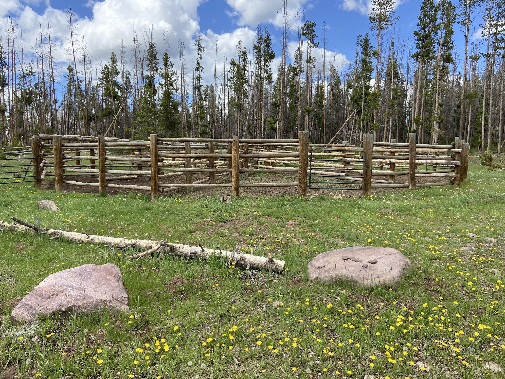 China Meadows Campground