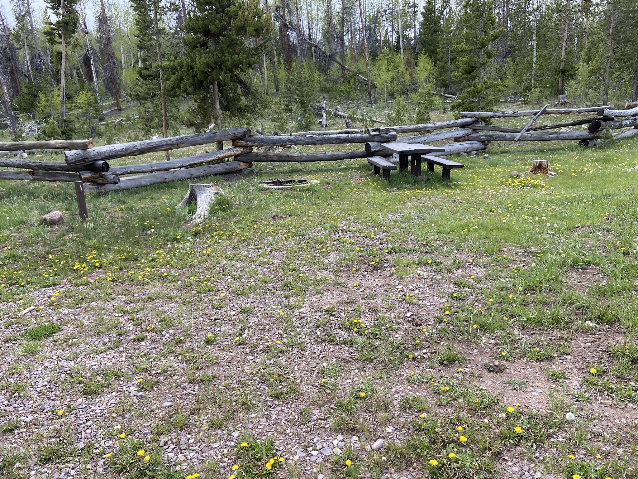 China Meadows Campground