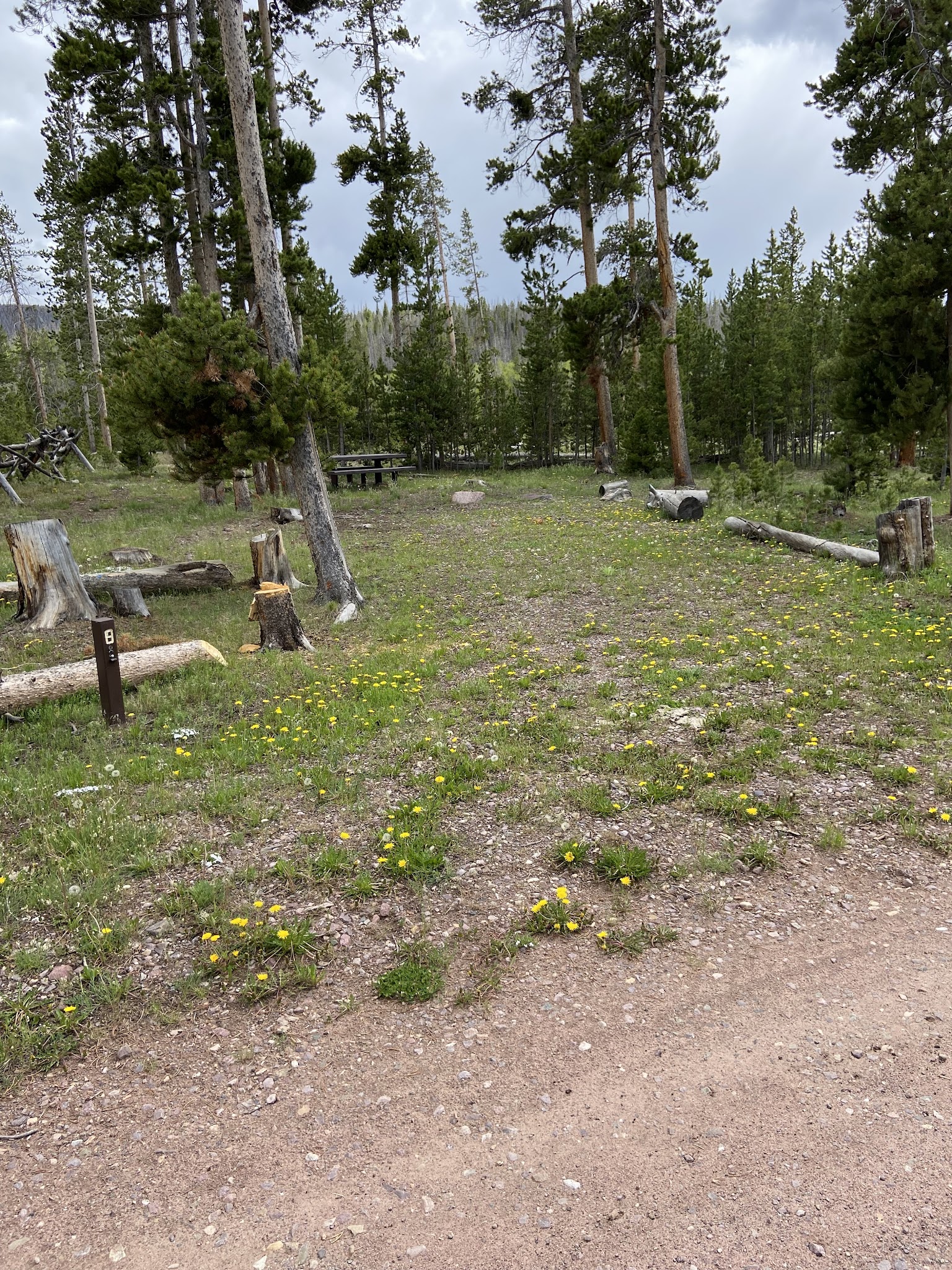 China Meadows Campground
