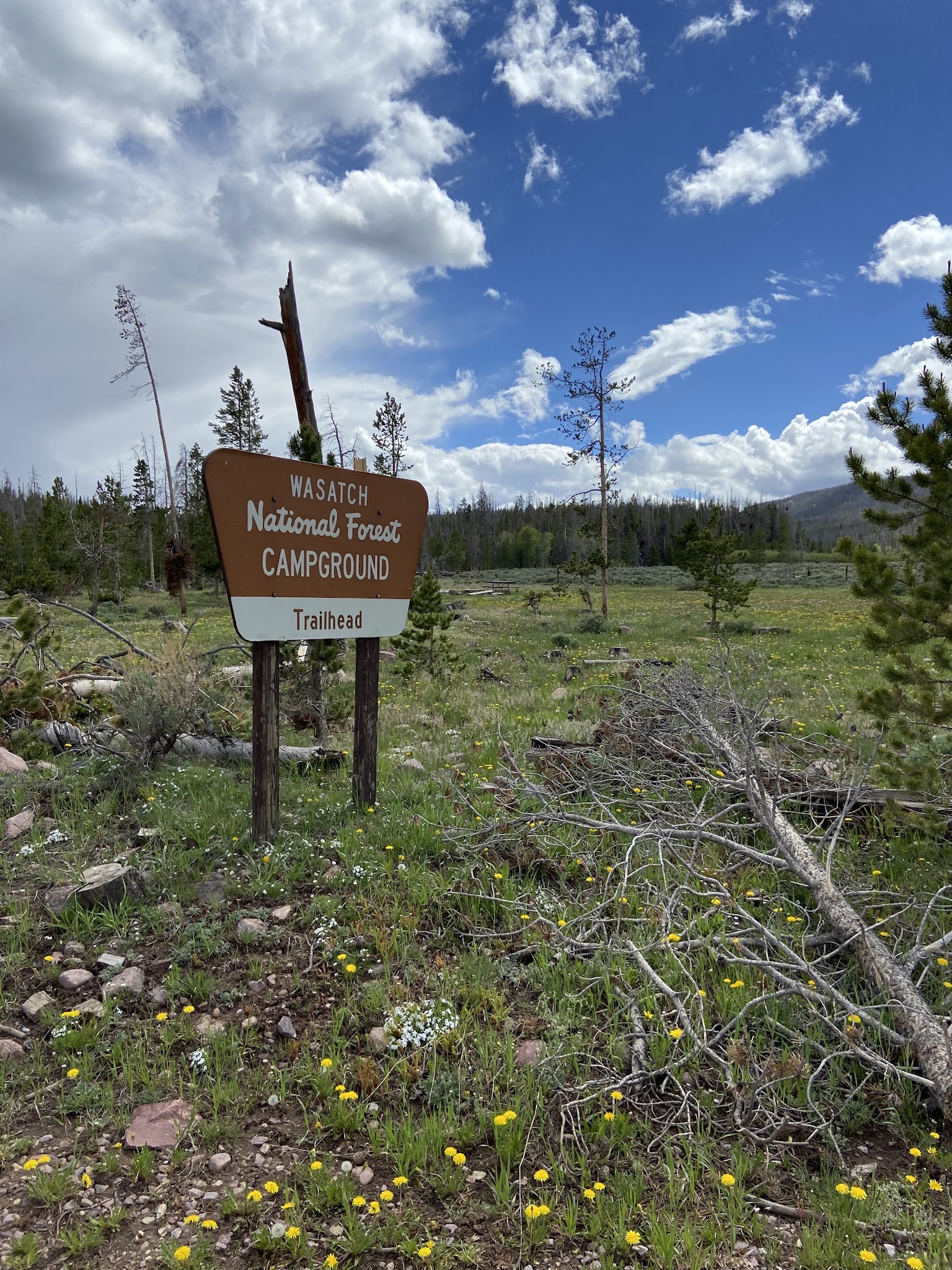 China Meadows Campground