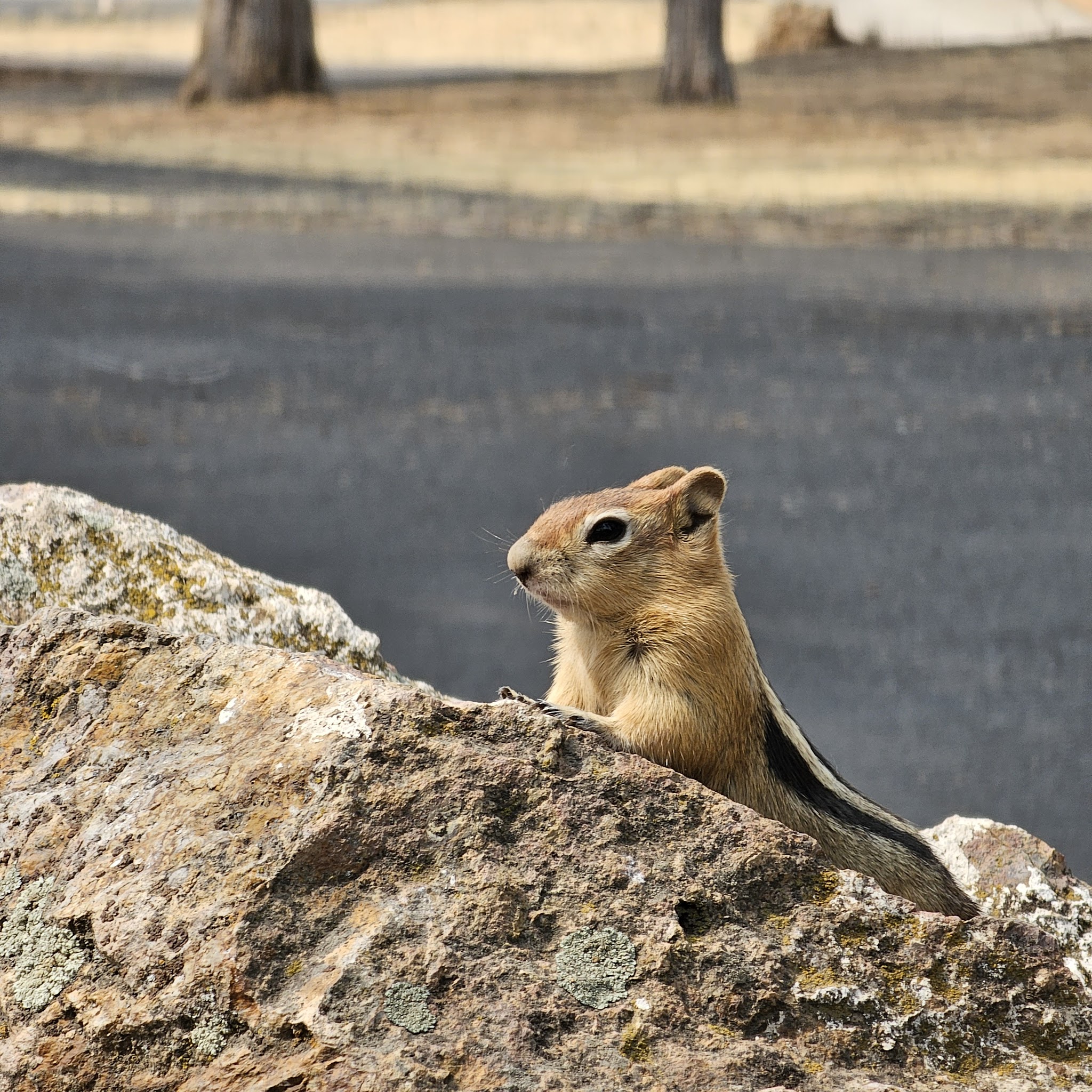 Prineville Reservoir State Park