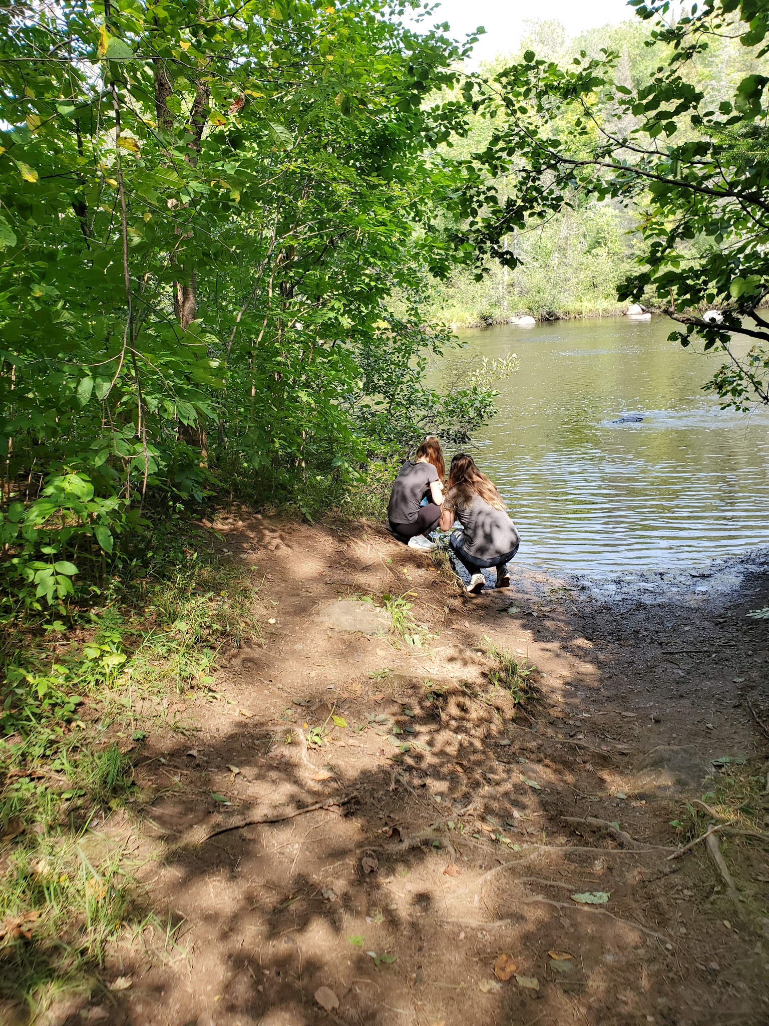 Chipmunk Rapids Recreation Area