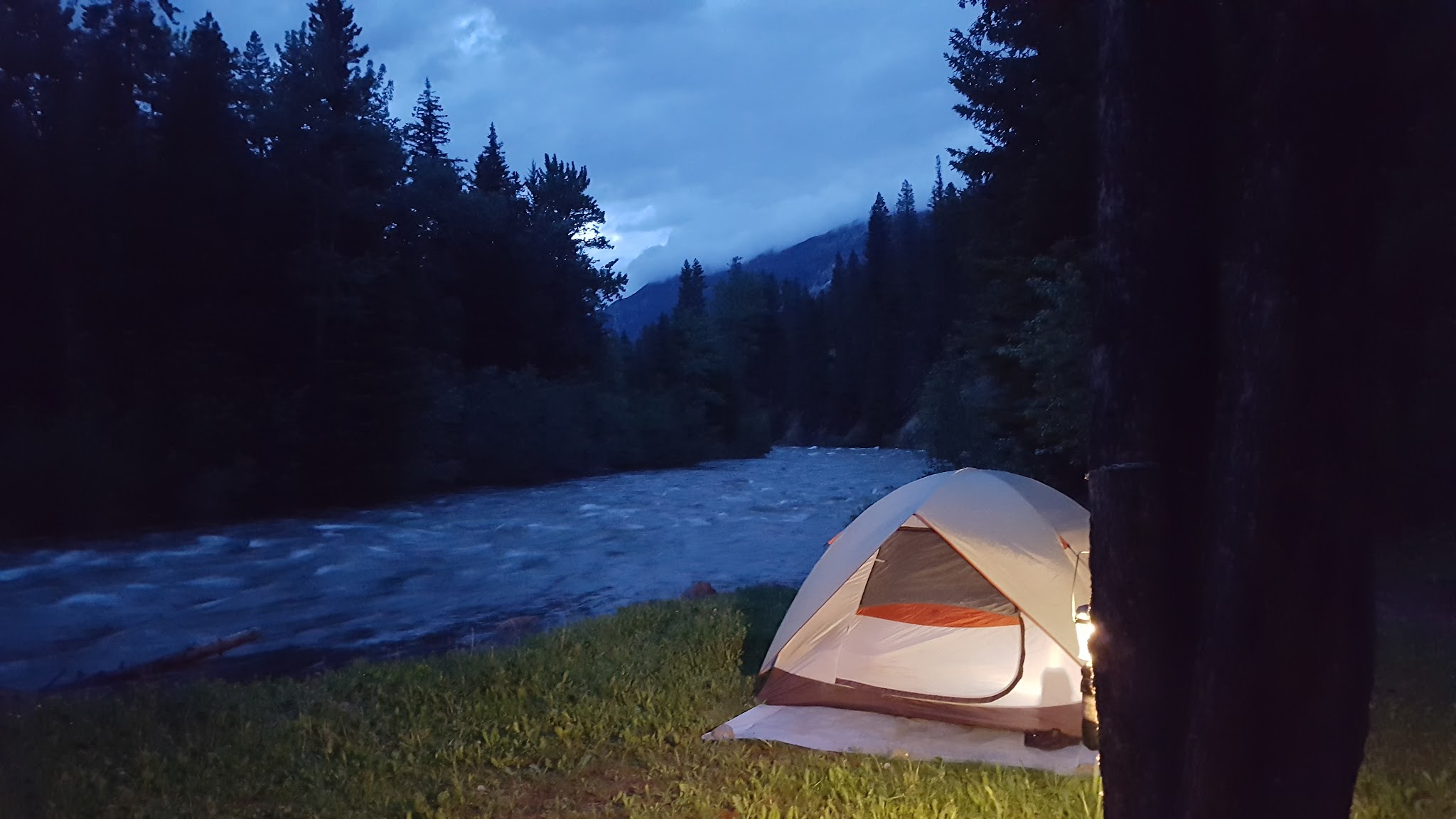 Chippy Park Campground