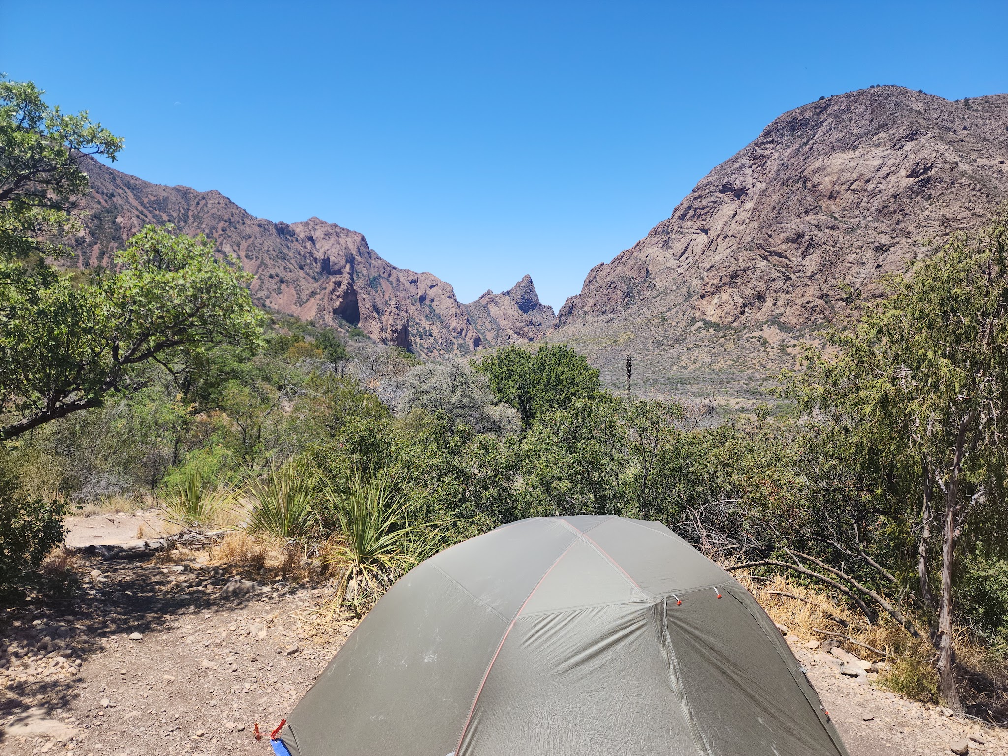 Chisos Basin Campground (Big Bend, Tx)