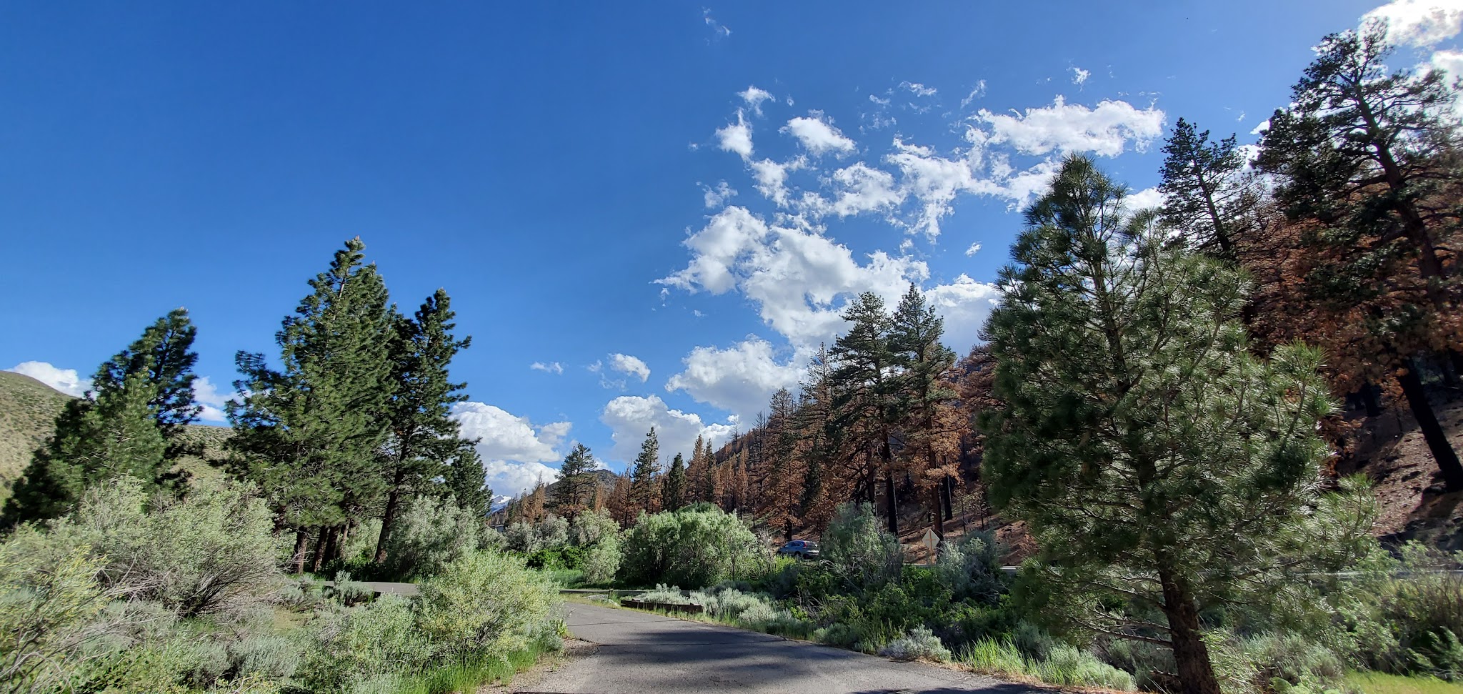 Chris Flat Campground