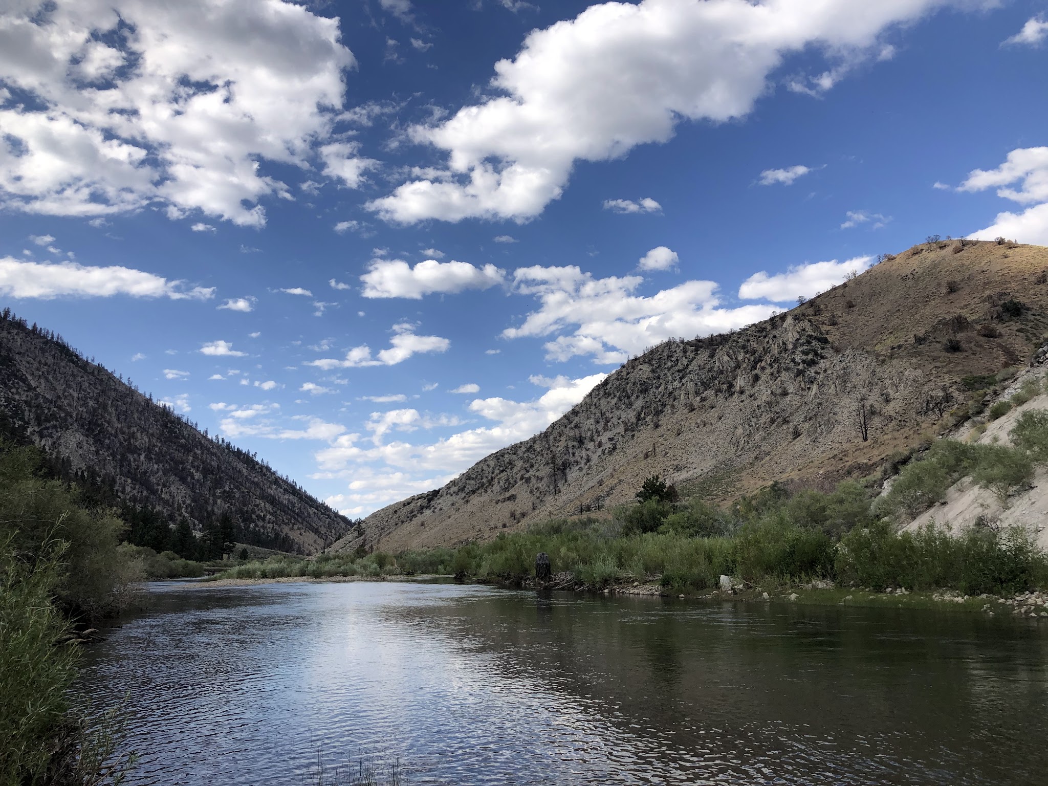 Chris Flat Campground