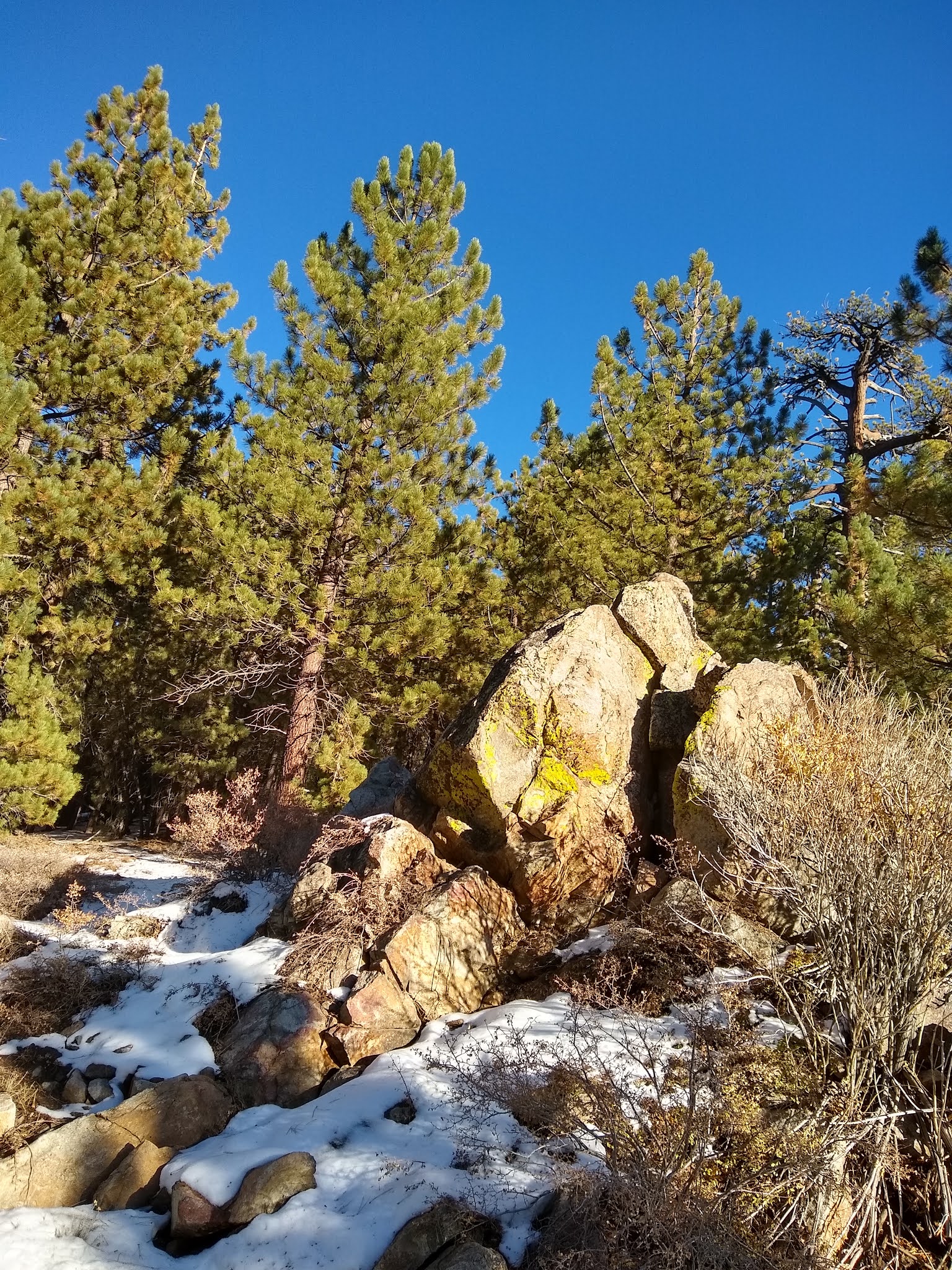 Chula Vista Walk-In Campground