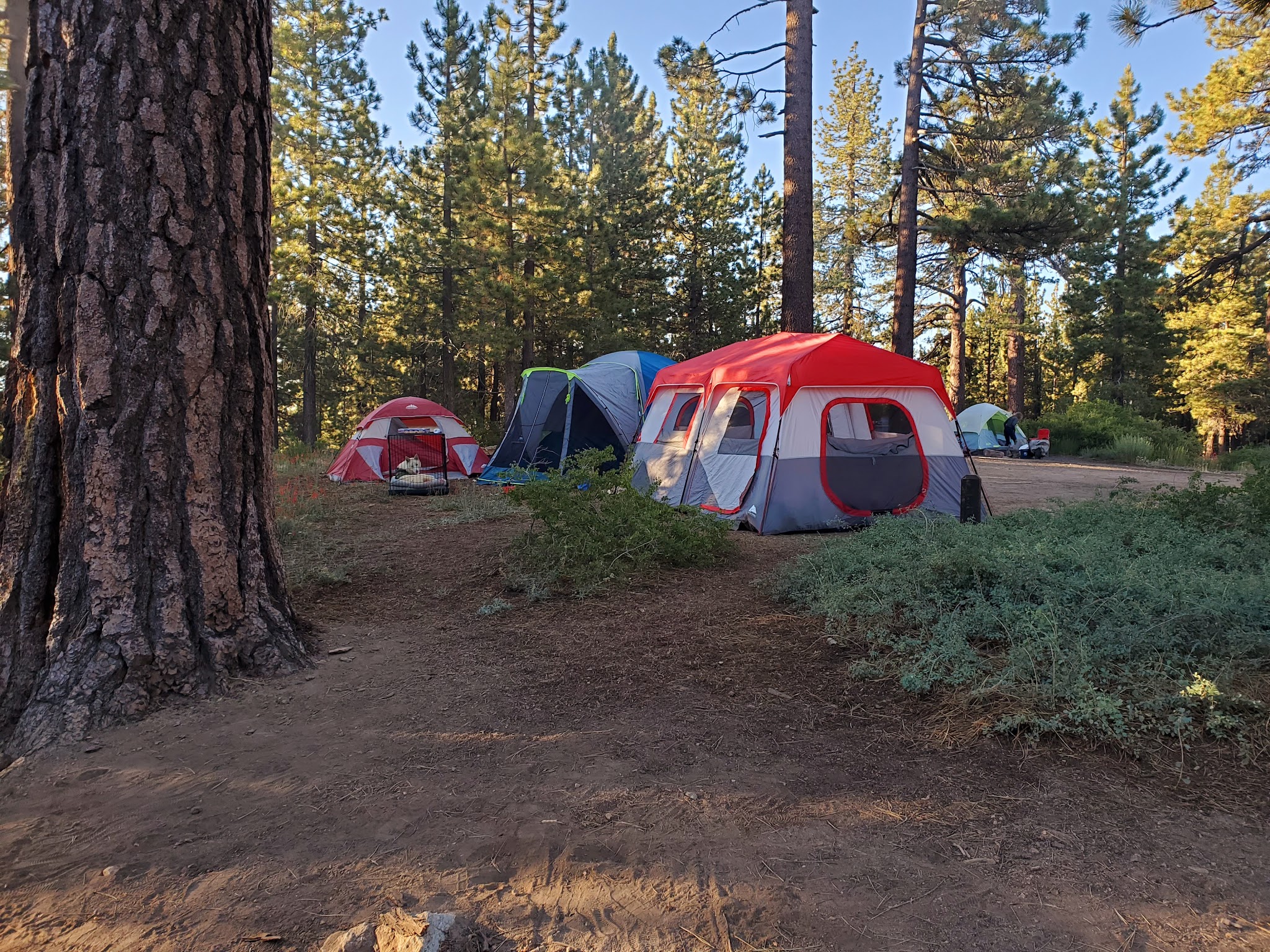 Chula Vista Walk-In Campground