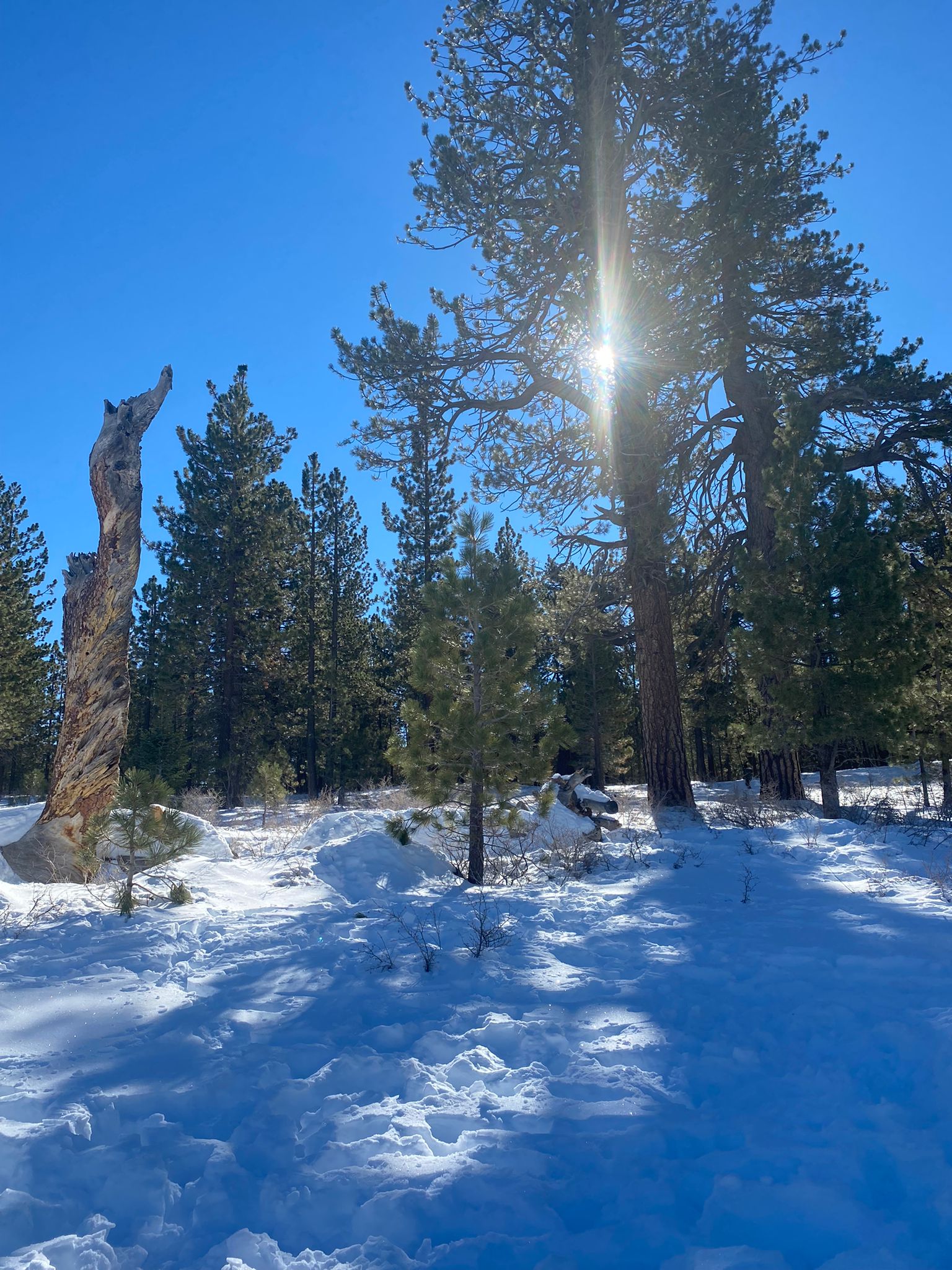 Chula Vista Walk-In Campground